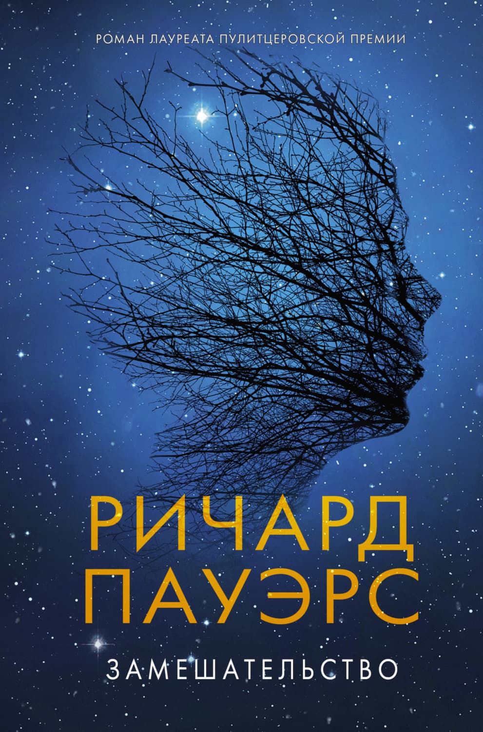 Обложка книги «Замешательство» — Ричард Пауэрс