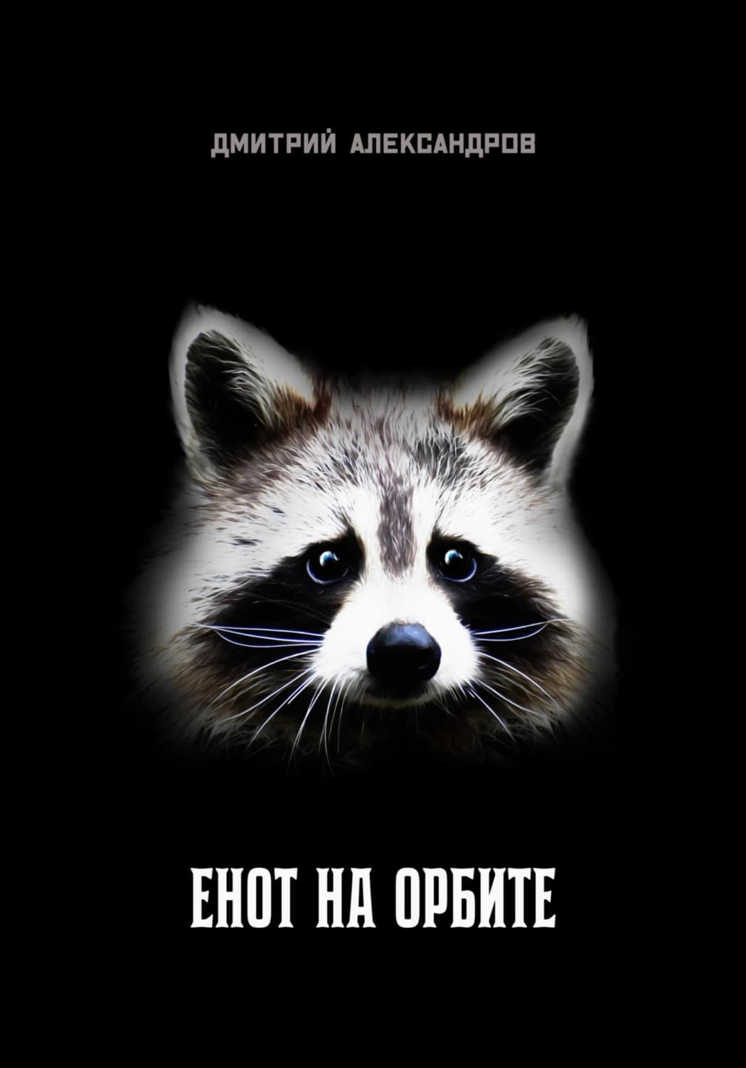 Обложка книги «Енот на орбите» — Д. Н. Александров