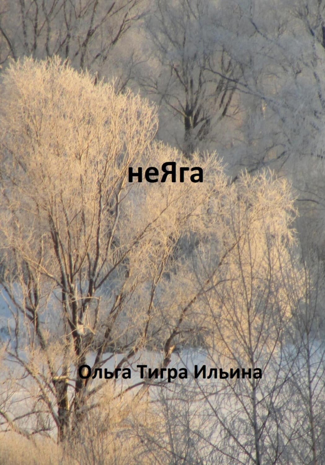 Обложка книги «неЯга» — О. И. Ильина