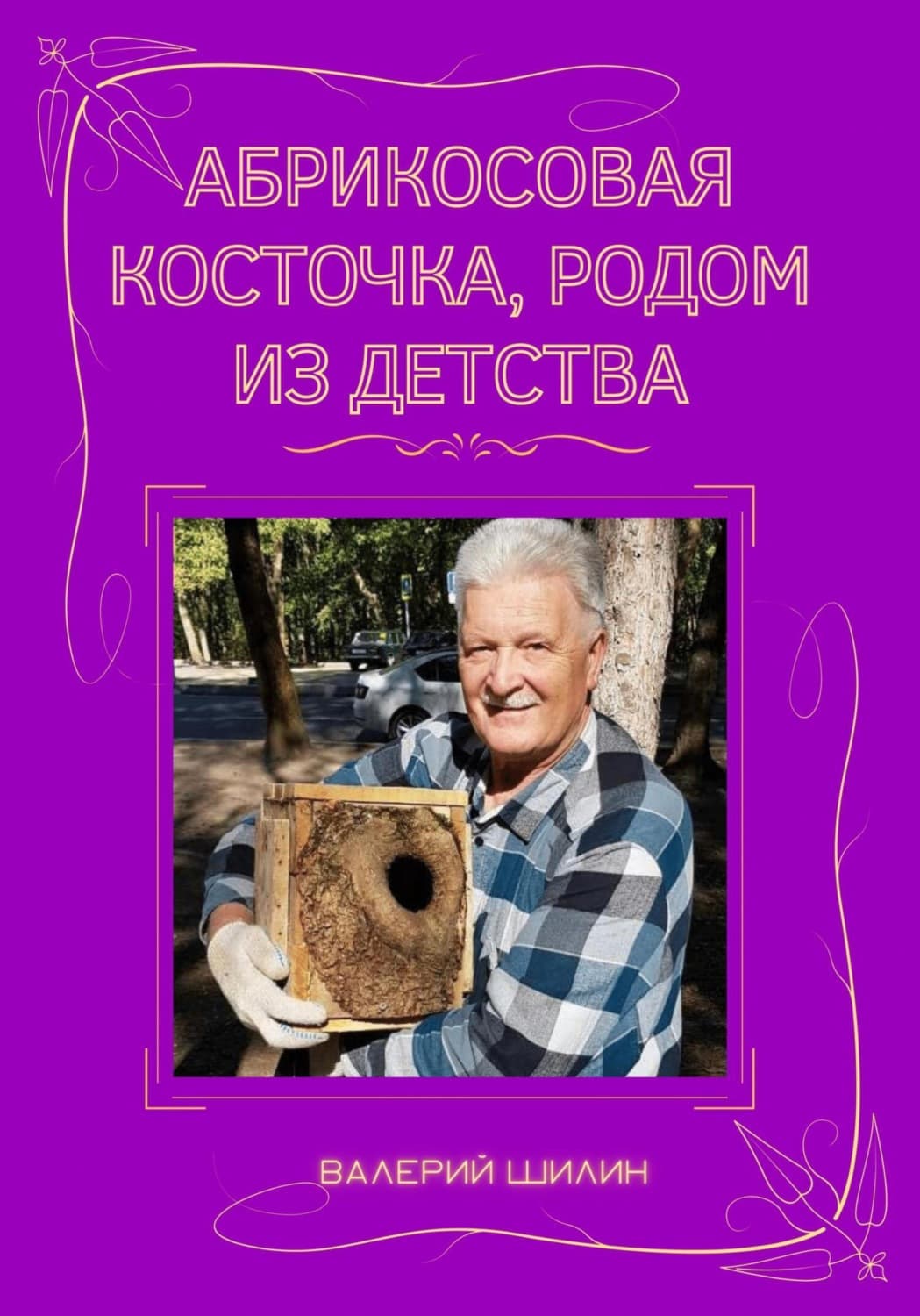 Обложка книги «Абрикосовая косточка, родом из детства» — Валерий Шилин