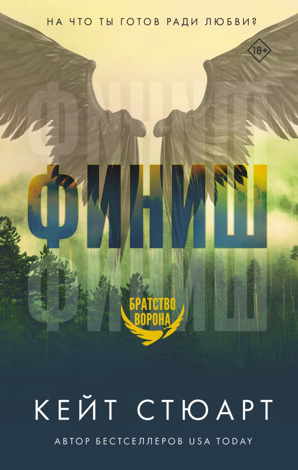 Обложка книги «Финиш» — Кайли Стюарт