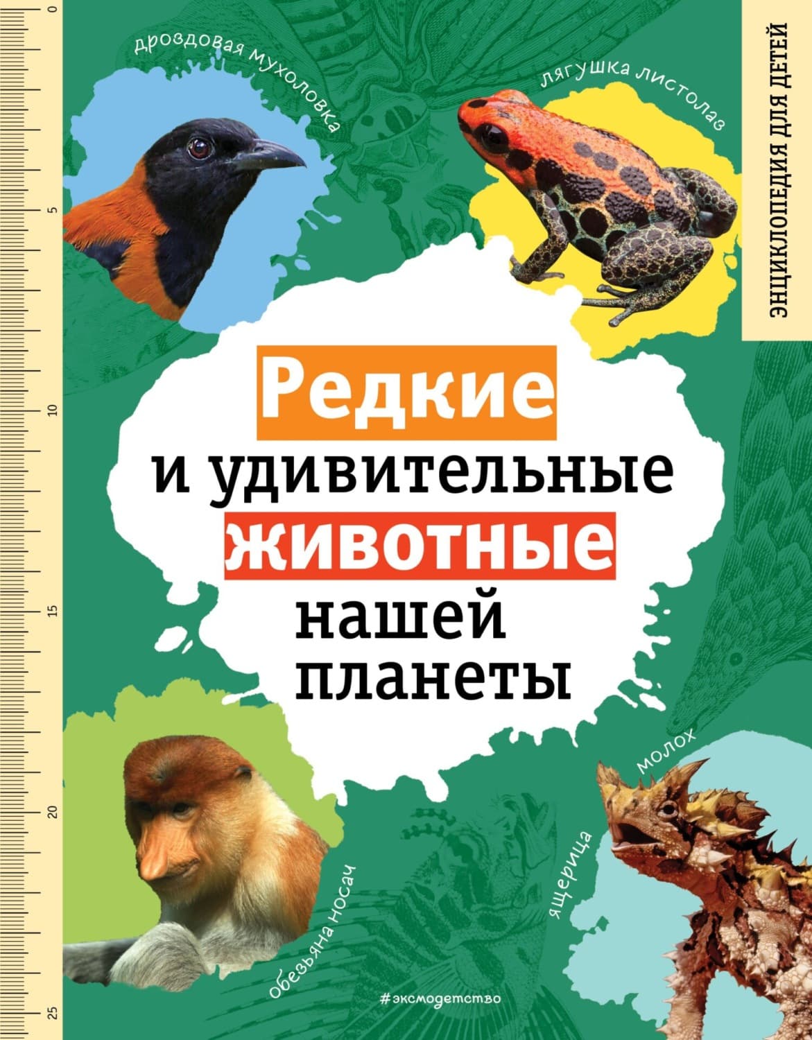 Обложка книги «Редкие и удивительные животные нашей планеты. Энциклопедия для детей» — В. С. Климов