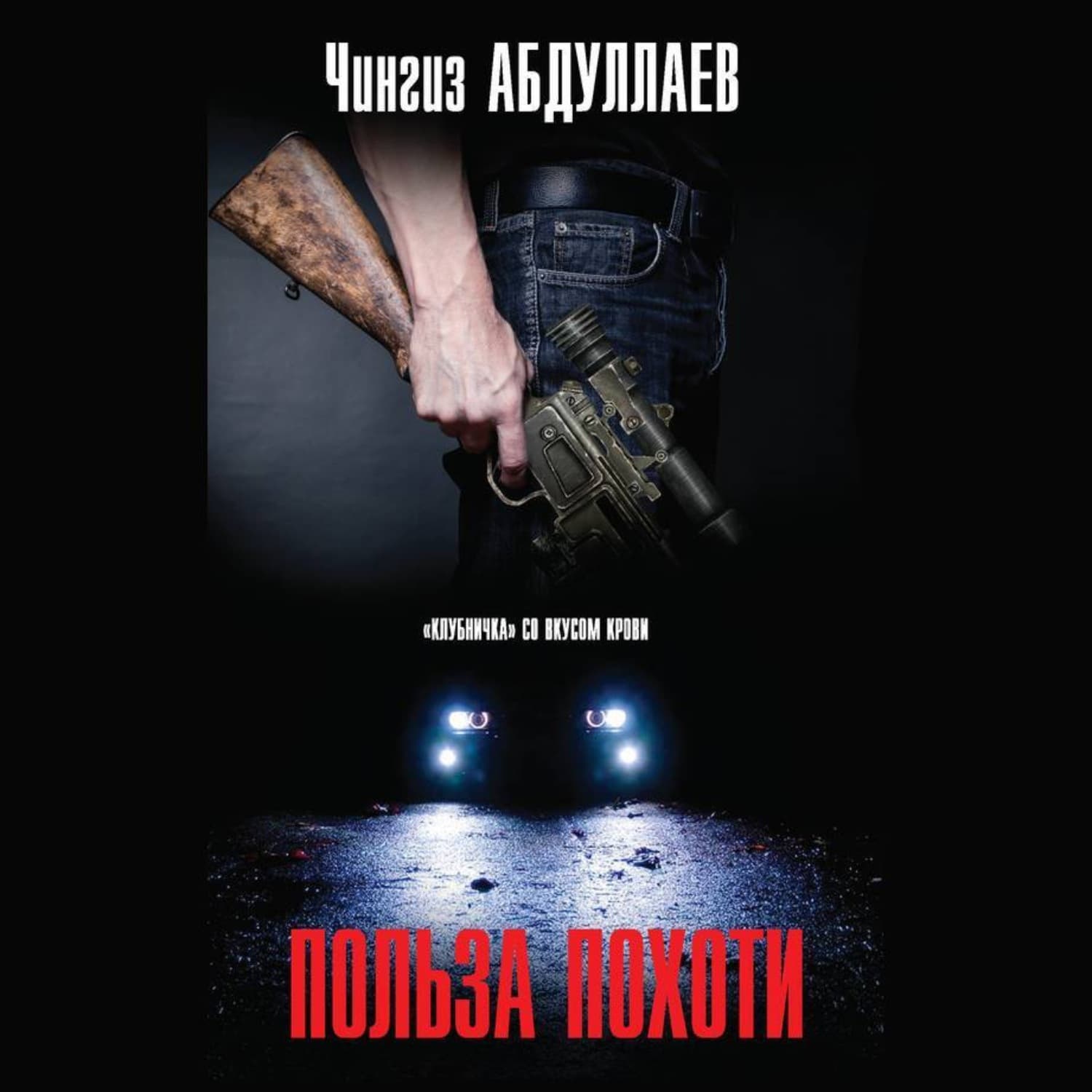 Обложка книги «Польза похоти» — Чингиз Абдуллаев