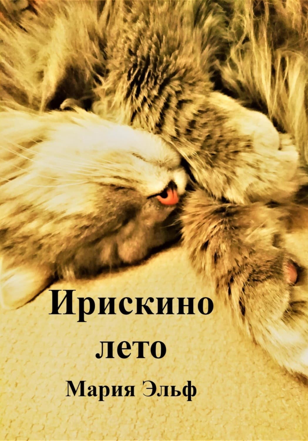 Обложка книги «Ирискино лето» — Мария Эльф