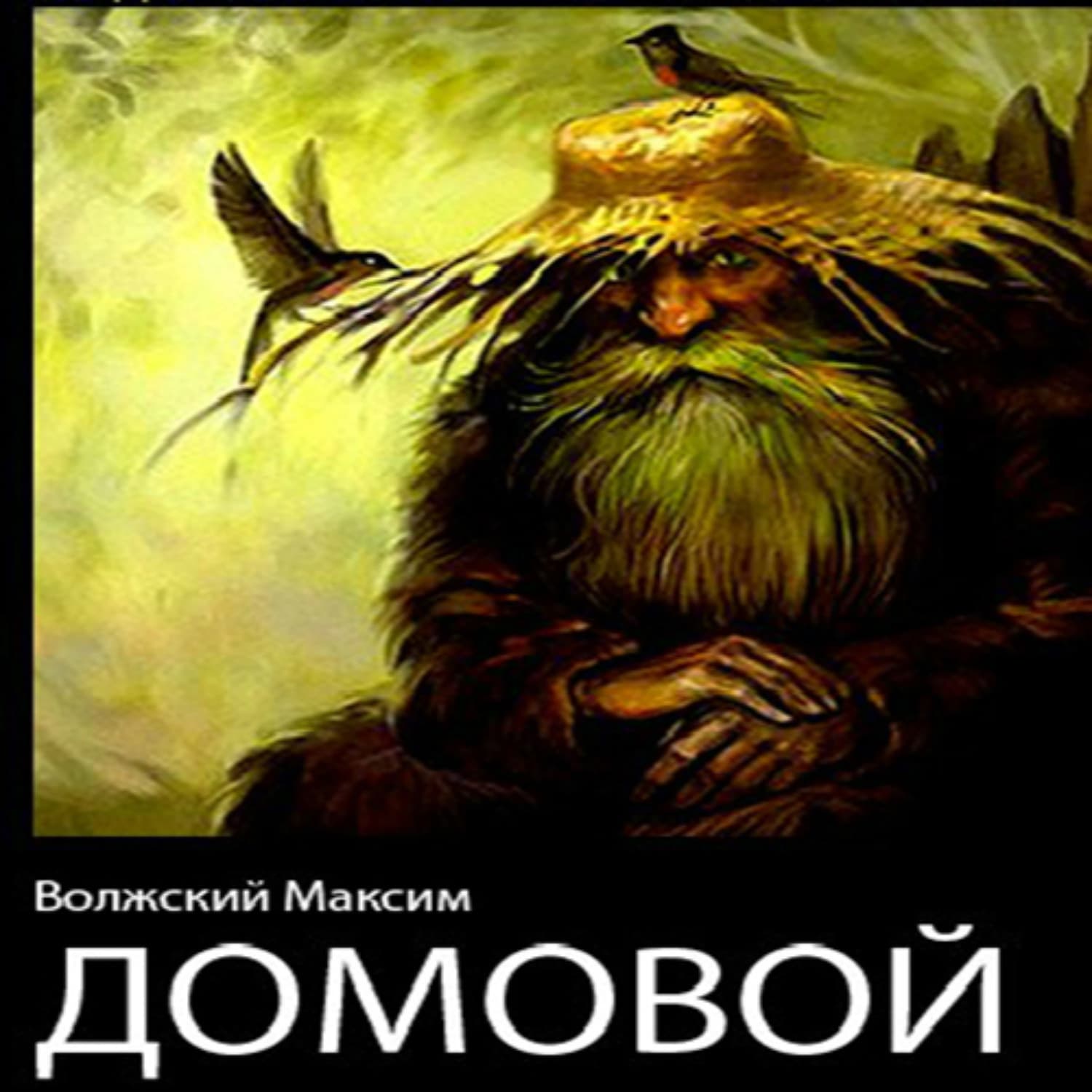 Обложка книги «Домовой» — Максим Волжский