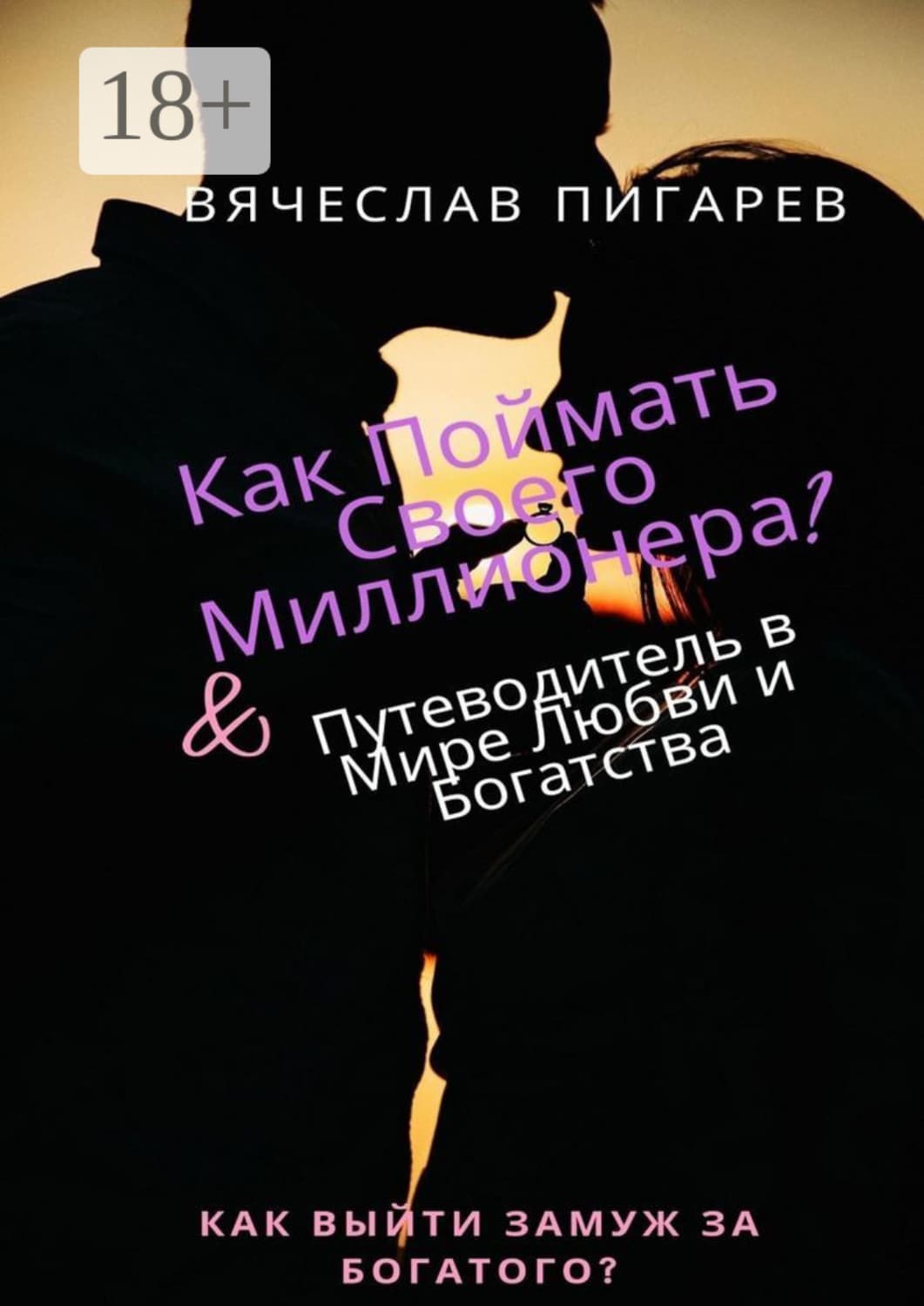 Обложка книги «Как поймать своего миллионера?» — Вячеслав Пигарев