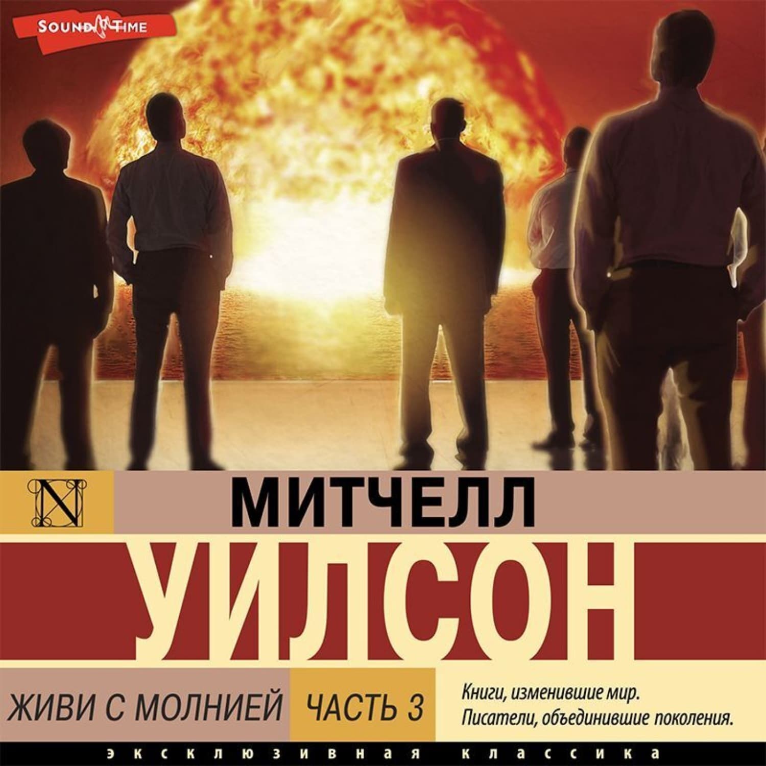 Обложка книги «Живи с молнией. Книга 3. Окружающий мир» — Мэтью Уилсон