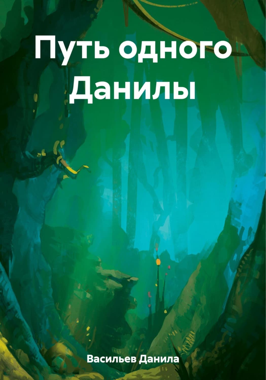 Обложка книги «Путь одного Данилы» — Денис Васильев