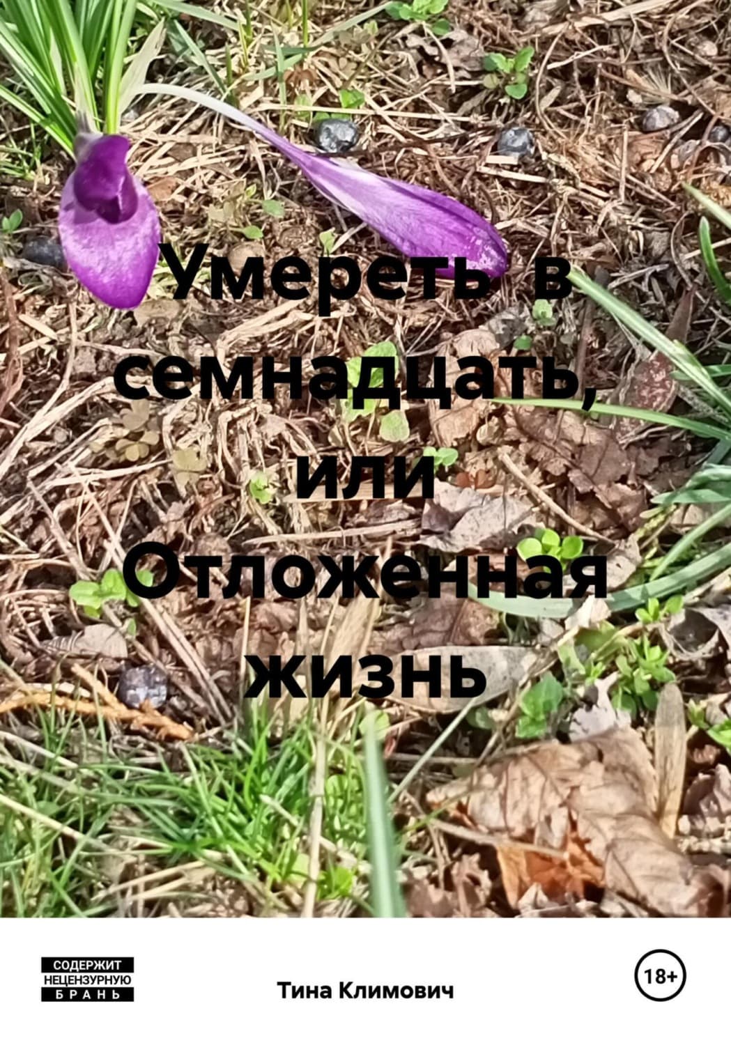 Обложка книги «Умереть в семнадцать, или Отложенная жизнь» — Тина