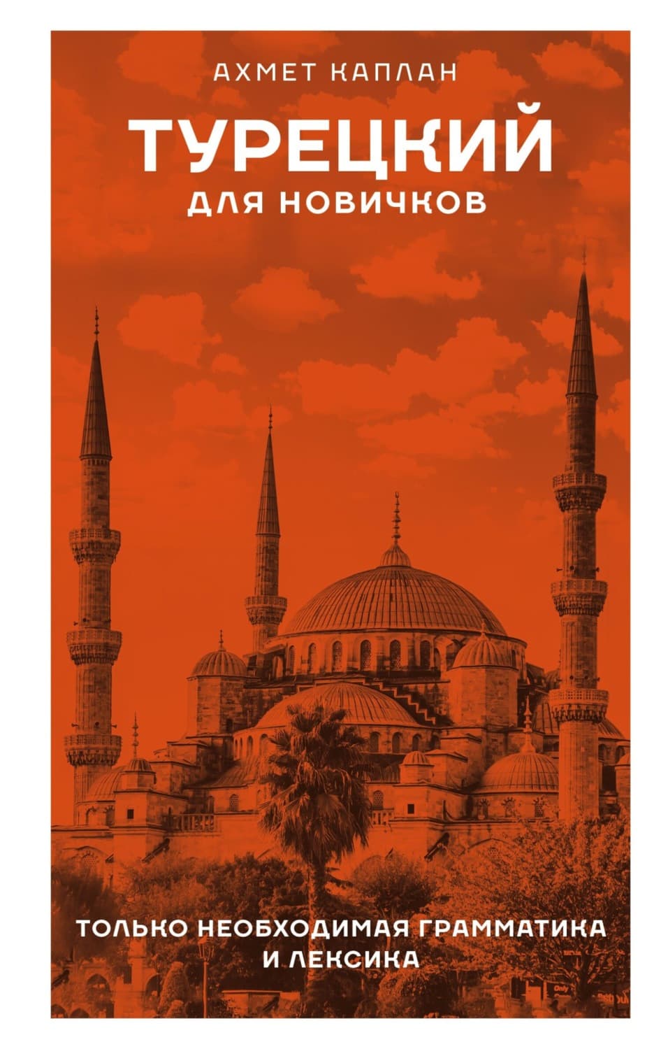 Обложка книги «Турецкий для новичков» — А. В. Каплан
