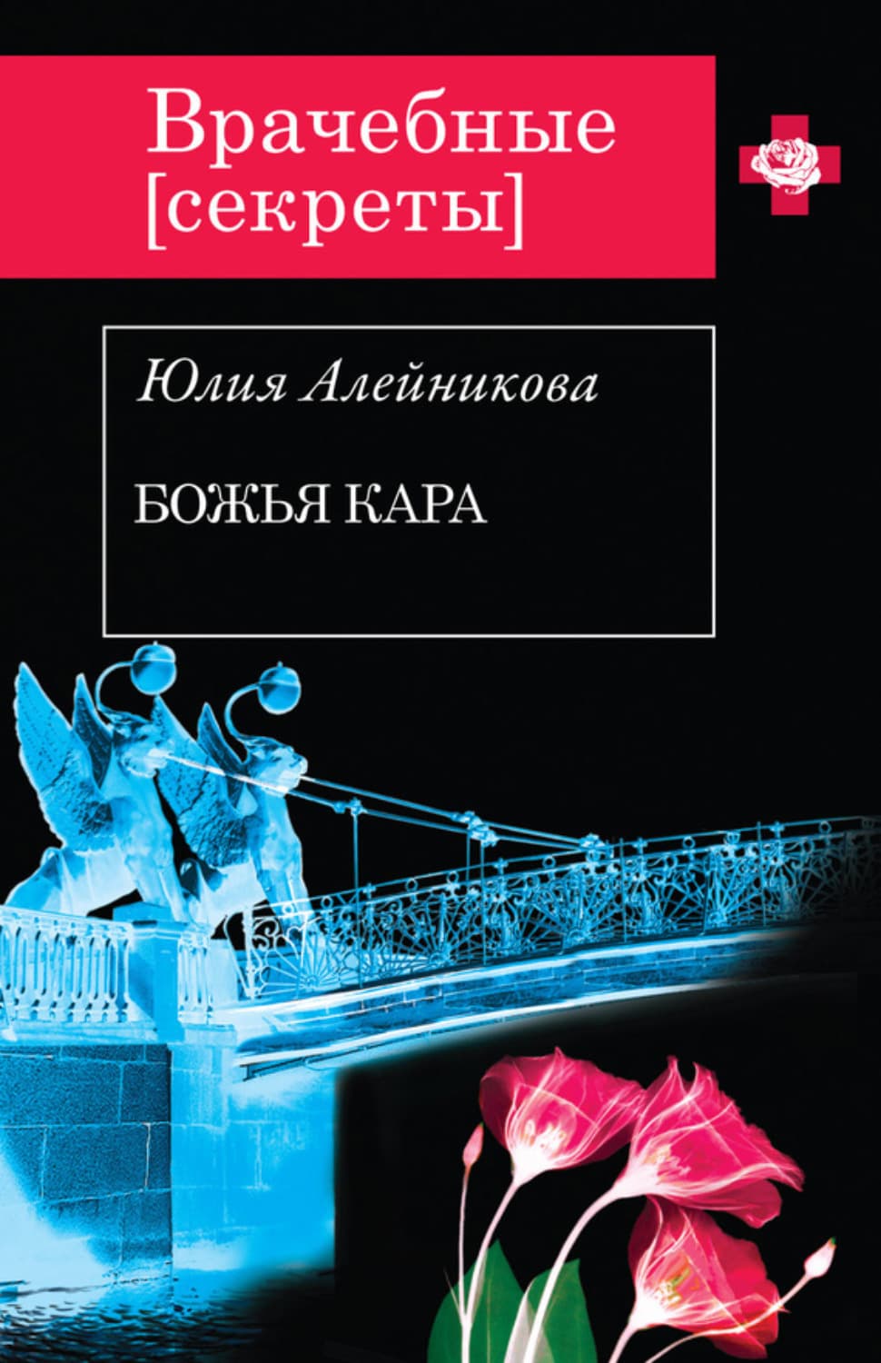 Обложка книги «Божья кара» — Юлия Алейникова