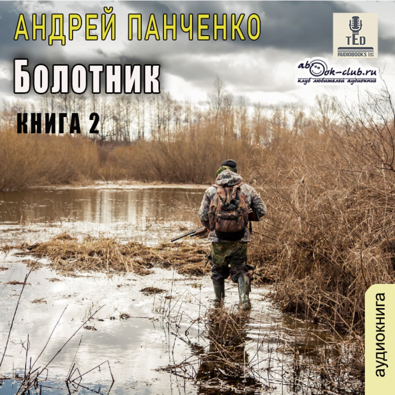 Обложка книги «Болотник. Книга 2» — Александр Панченко
