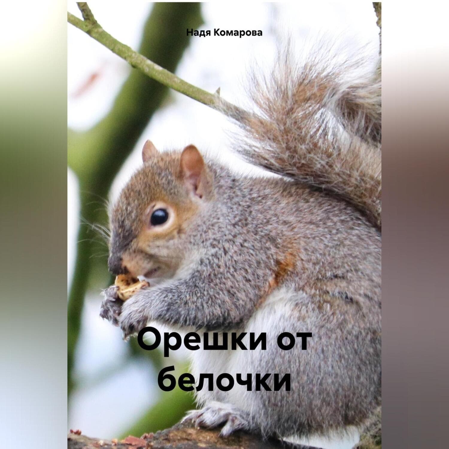 Обложка книги «Орешки от белочки» — Надежда Комарова