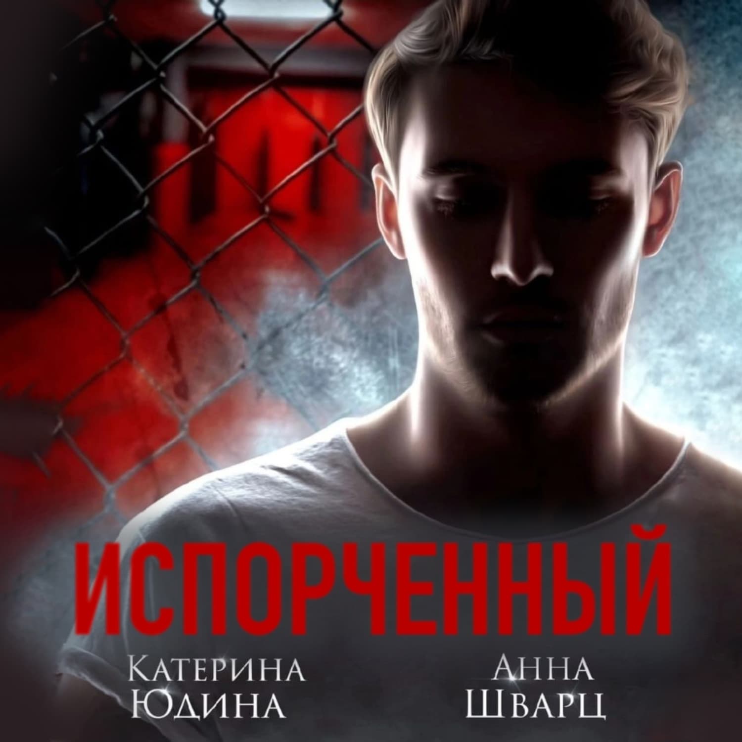Обложка книги «Испорченный. Книга 1» — Адель Шварц