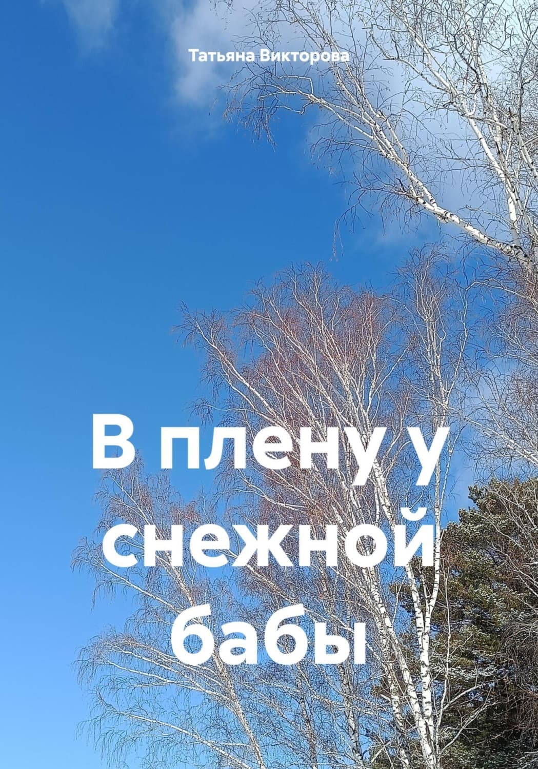 Обложка книги «В плену у снежной бабы» — Татьяна Викторова