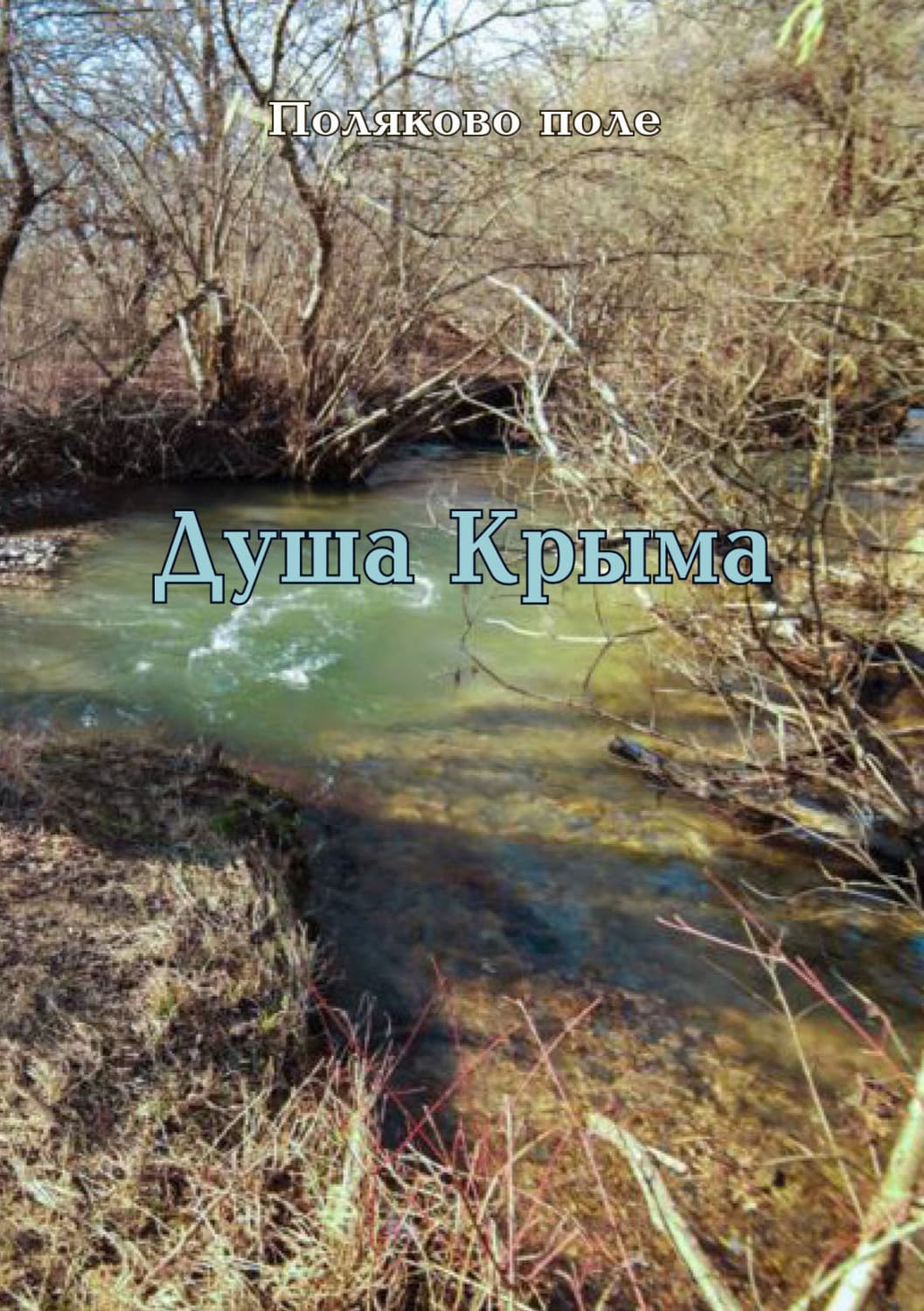 Обложка книги «Душа Крыма» — Виктор Поляков