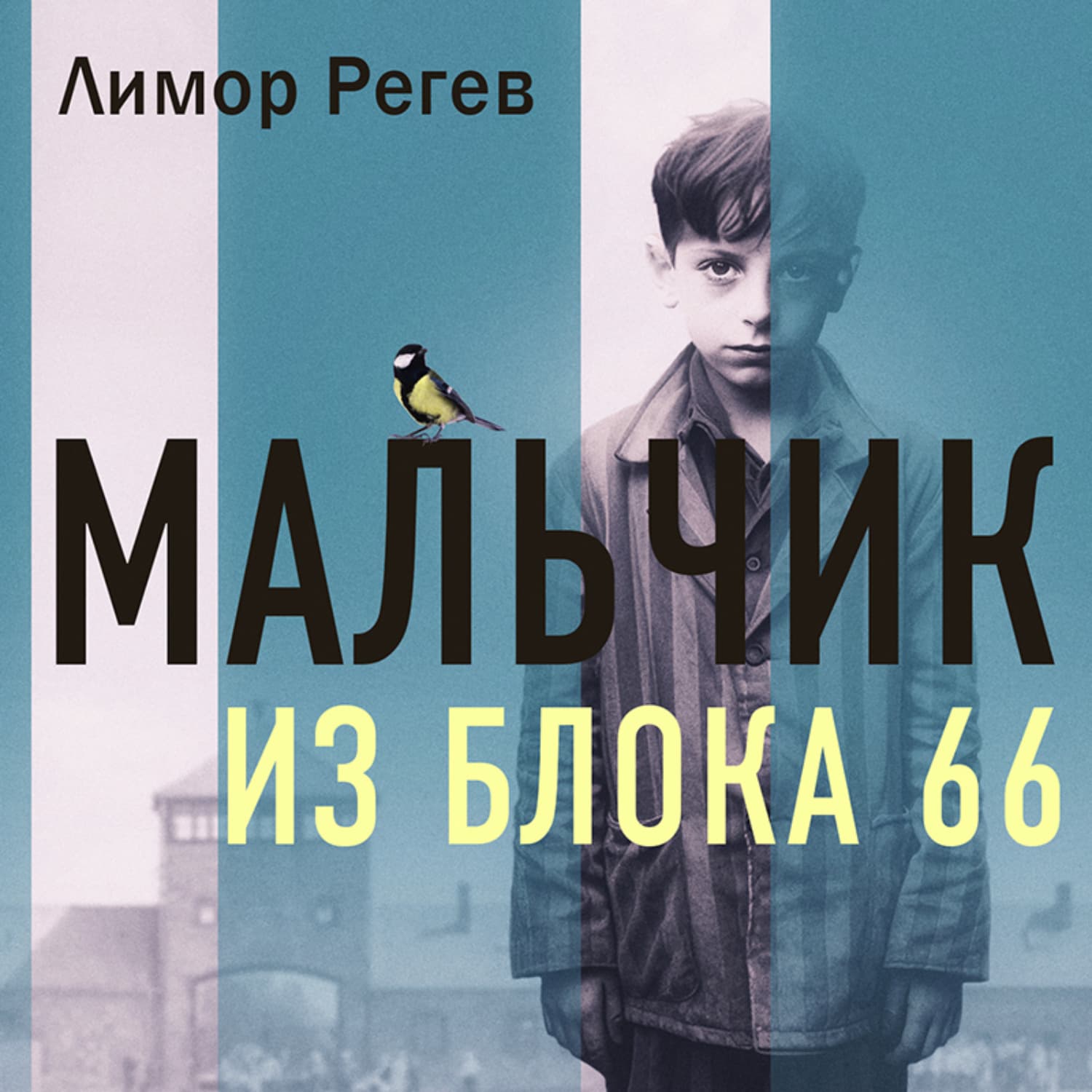 Обложка книги «Мальчик из Блока 66. Реальная история ребенка, пережившего Аушвиц и Бухенвальд» — Лимор Регев