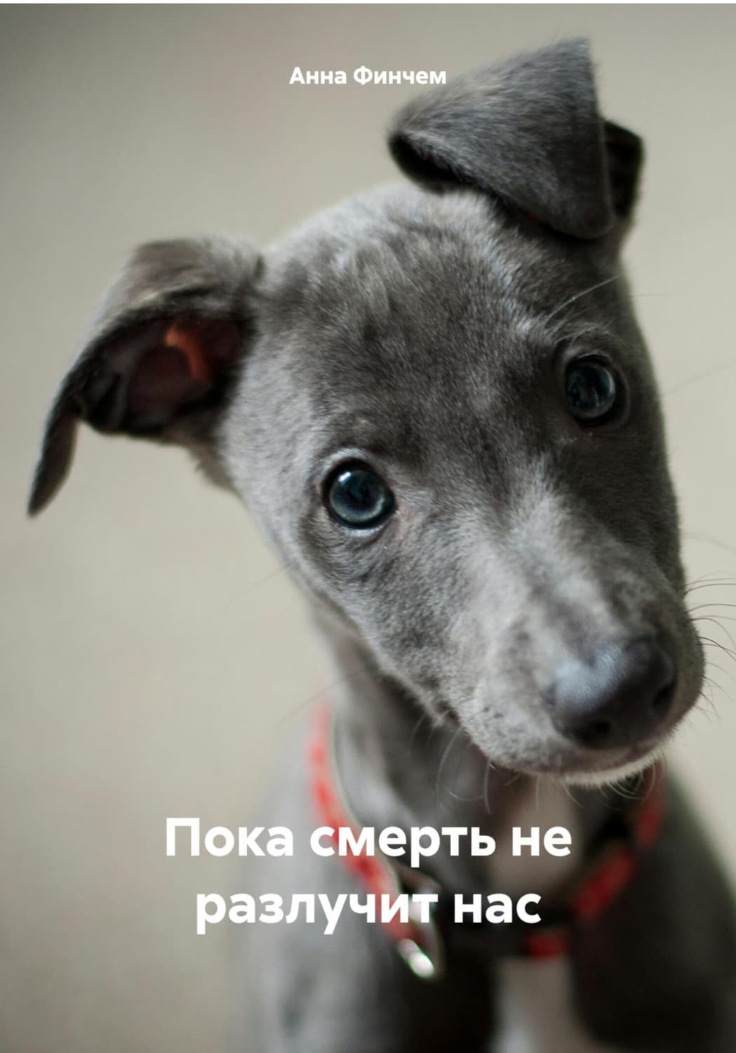 Обложка книги «Пока смерть не разлучит нас» — Анна Финчем