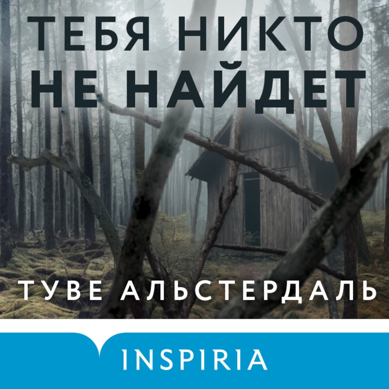 Обложка книги «Тебя никто не найдет» — Туве Альстердаль