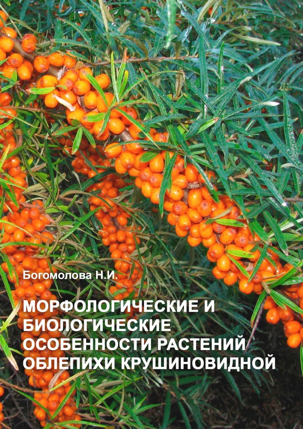 Обложка книги «Морфологические и биологические особенности растений облепихи крушиновидной» — Н. Богомолова