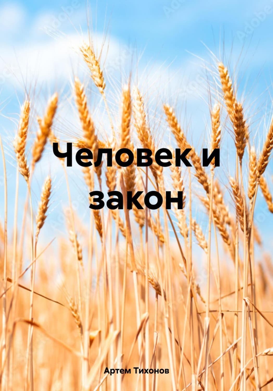 Обложка книги «Человек и закон» — Алексей Тихонов