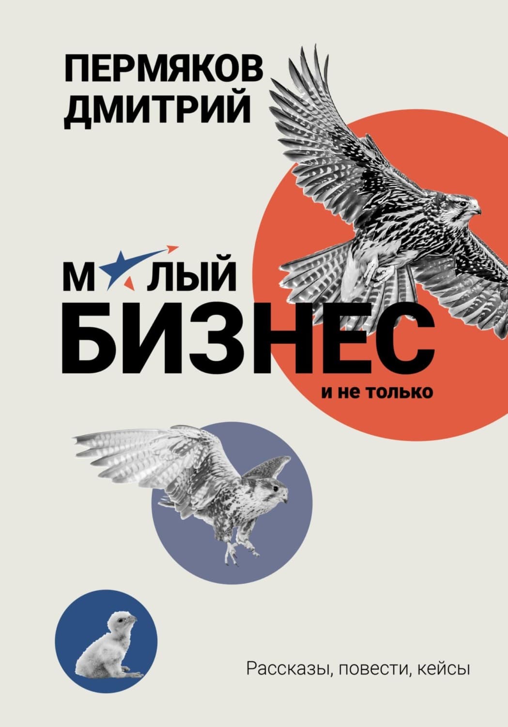 Обложка книги «О бизнесе на примерах. Сборник рассказов» — Дмитрий Пермяков