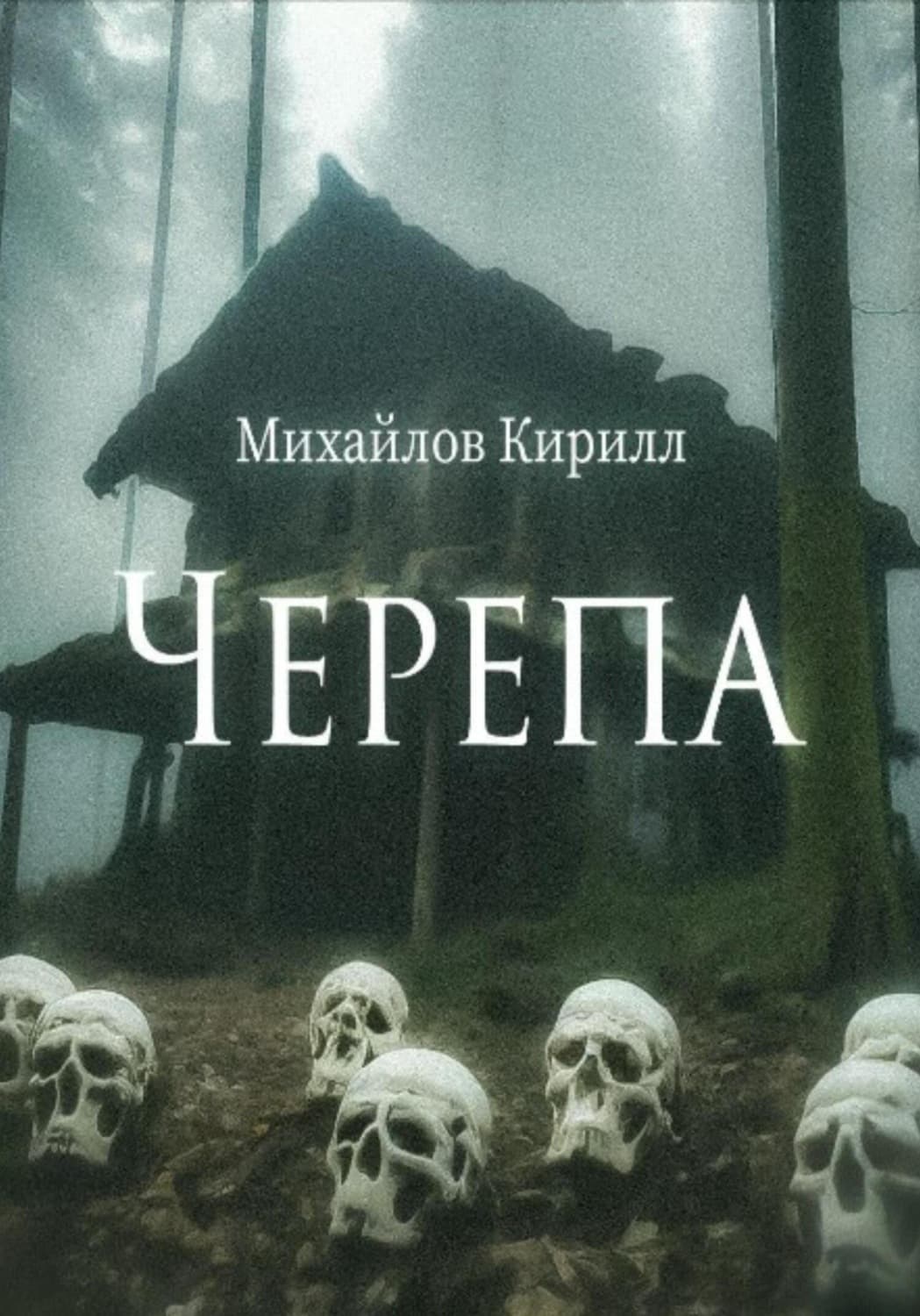 Обложка книги «Черепа» — Константин Михайлов