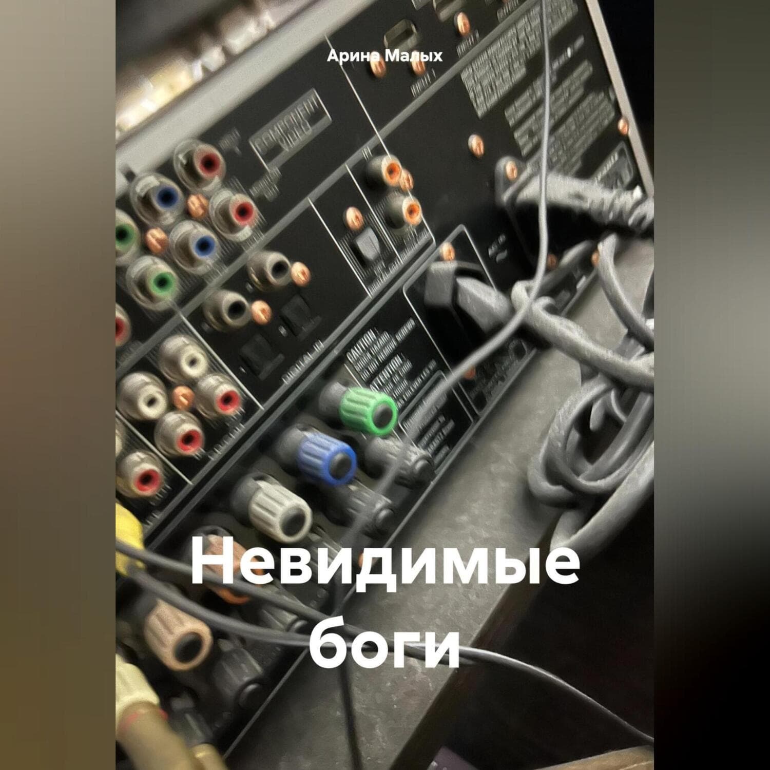 Обложка книги «Невидимые боги» — Мур Арина