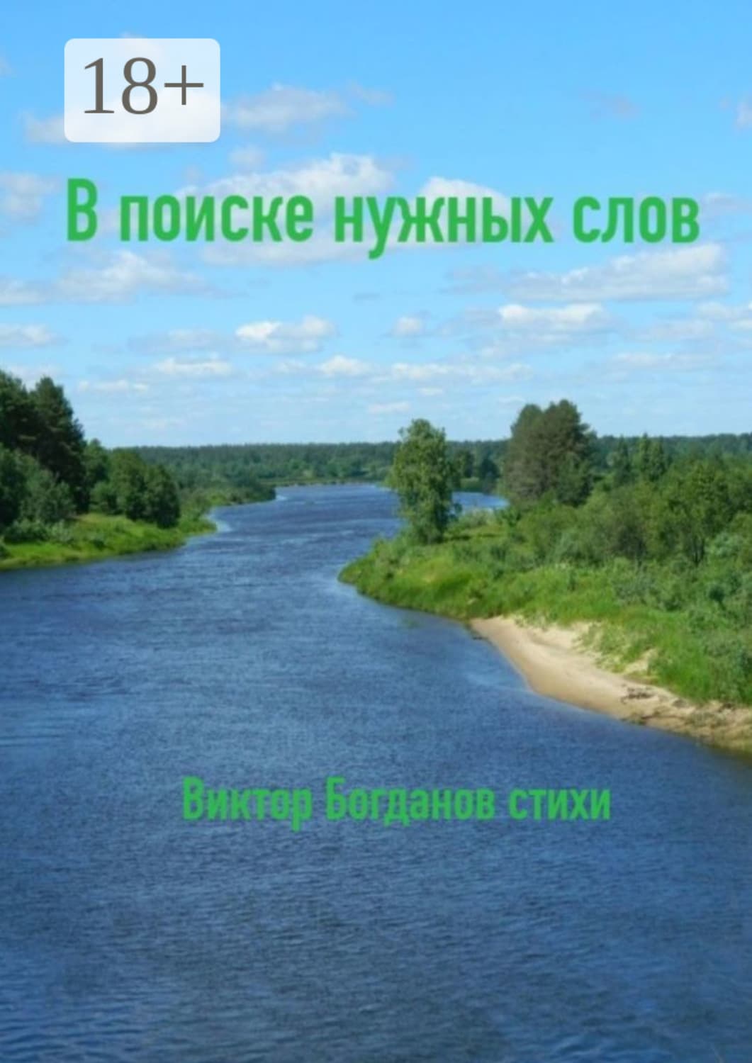 Обложка книги «В поиске нужных слов» — Виктор Богданов