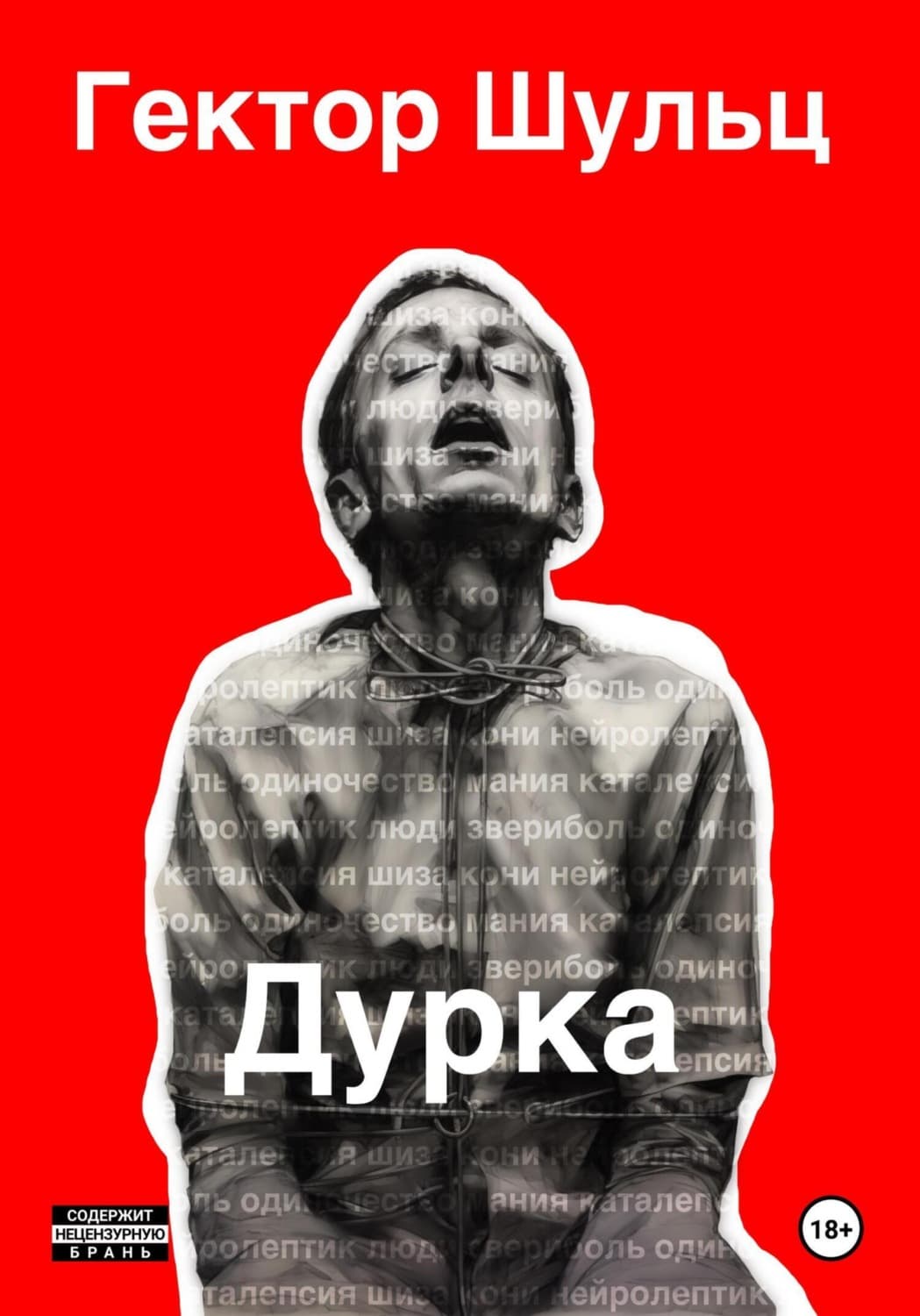 Обложка книги «Дурка» — Гектор Шульц