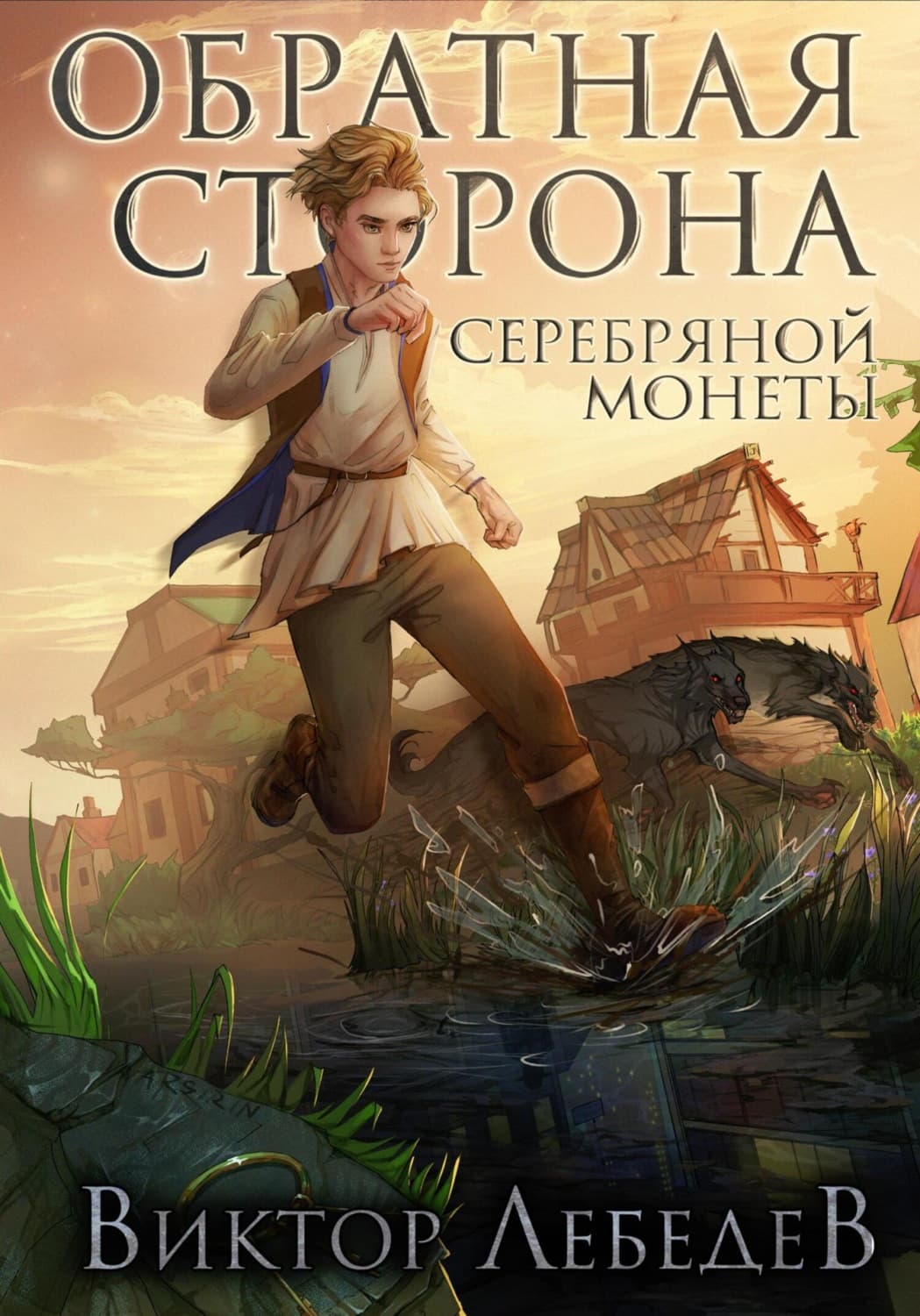Обложка книги «Обратная сторона серебряной монеты» — Валерий Лебедев