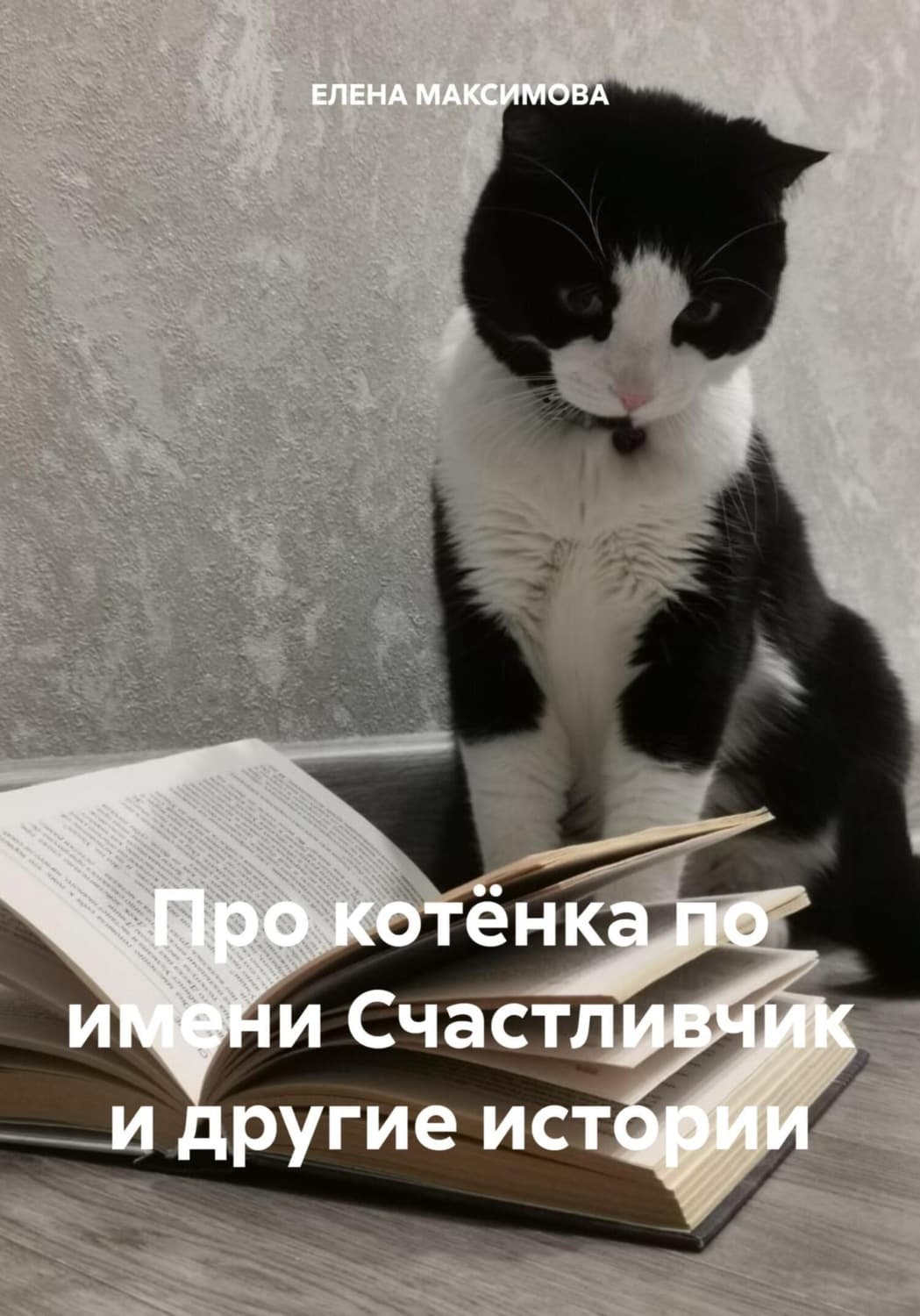 Обложка книги «Про котёнка по имени Счастливчик и другие истории» — Екатерина Максимова