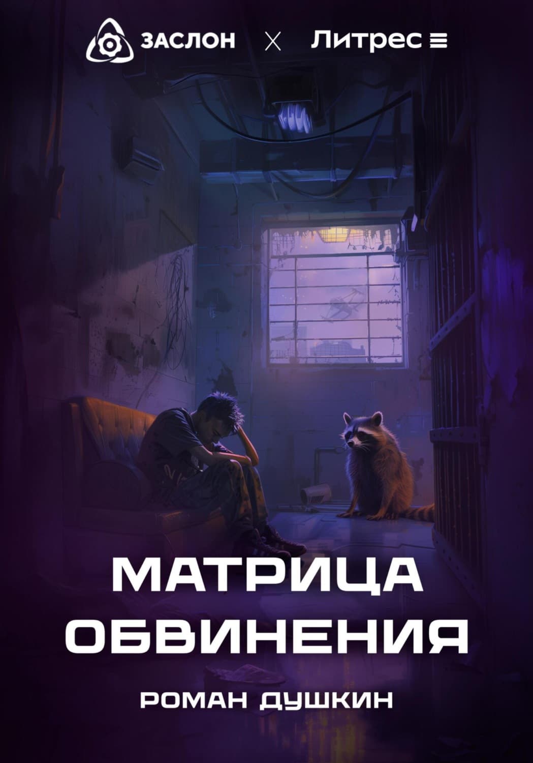 Обложка книги «Матрица обвинения» — Роман Душкин