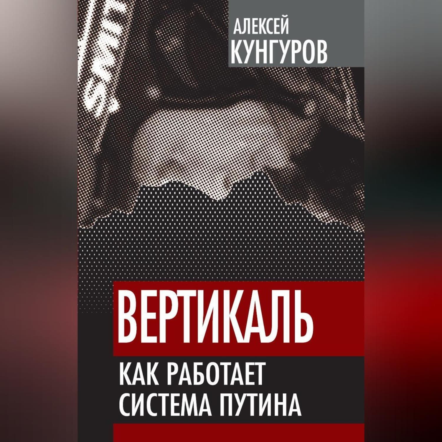 Обложка книги «Вертикаль. Как работает система Путина» — Анатолий Кунгуров