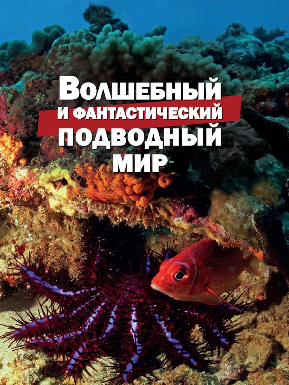 Обложка книги «Волшебный и фантастический подводный мир» — В. С. Климов