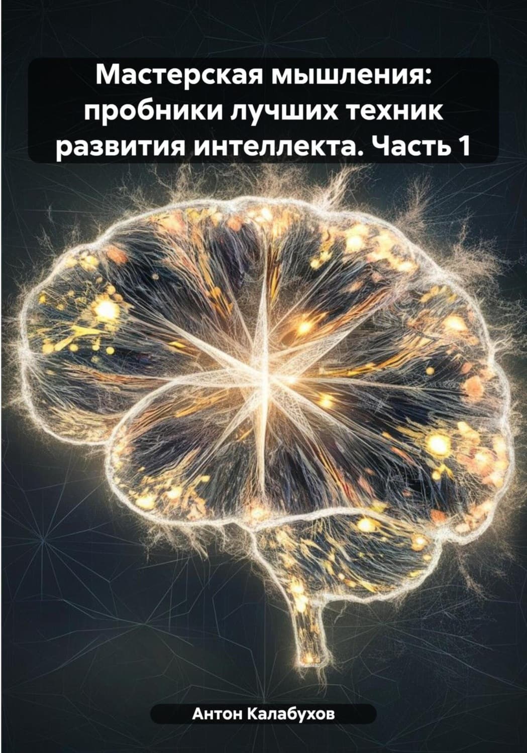 Обложка книги «Мастерская мышления: пробники лучших техник развития интеллекта. Часть 1» — Антон Калабухов