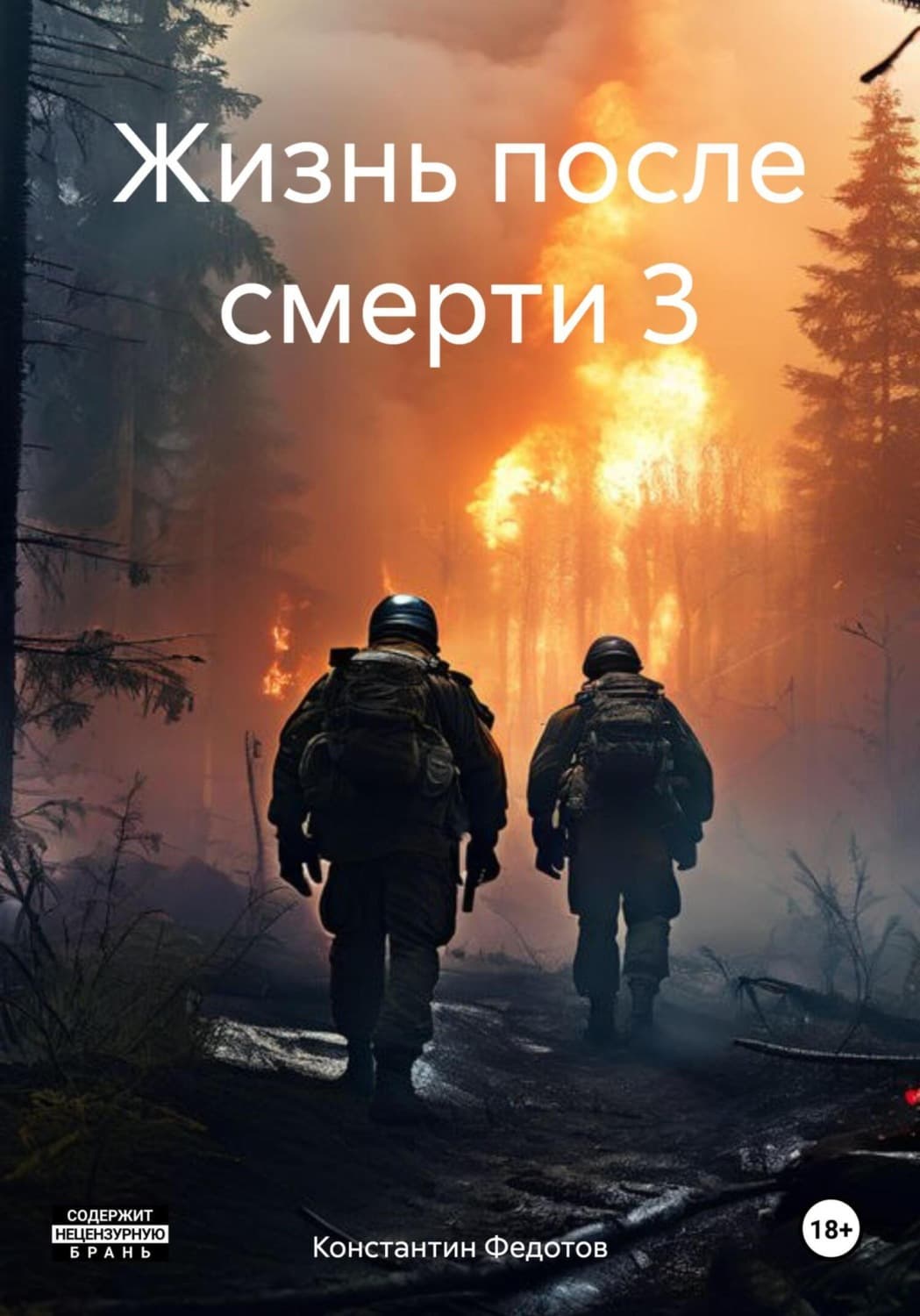 Обложка книги «Жизнь после смерти 3» — К. В. Федотов