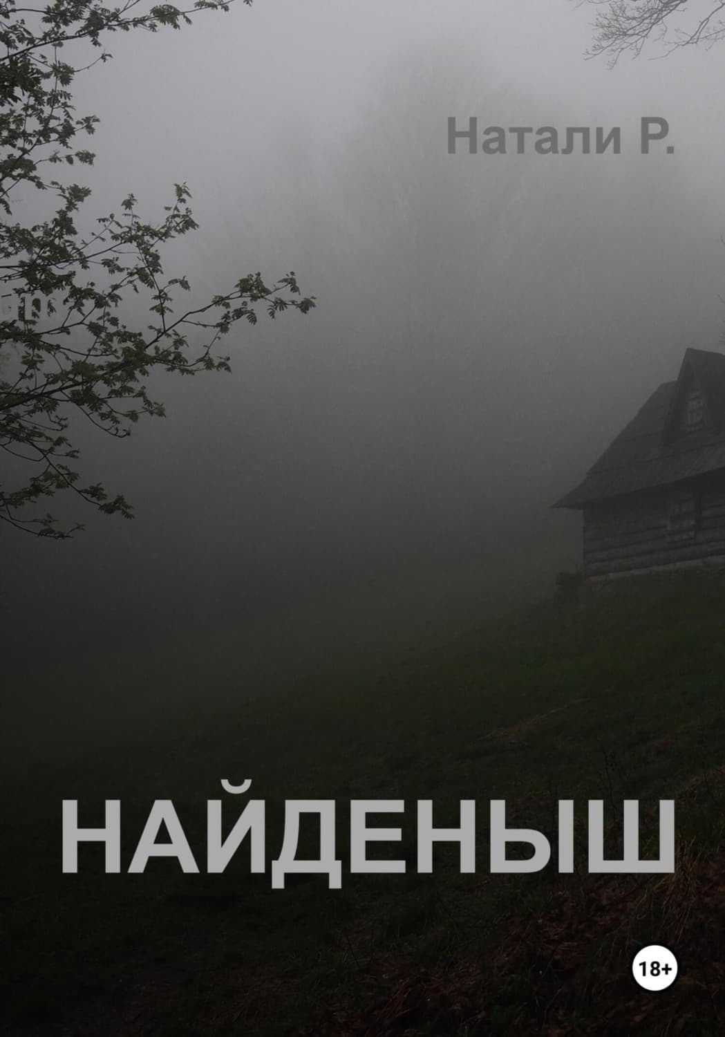 Обложка книги «Найденыш» — Натали Р