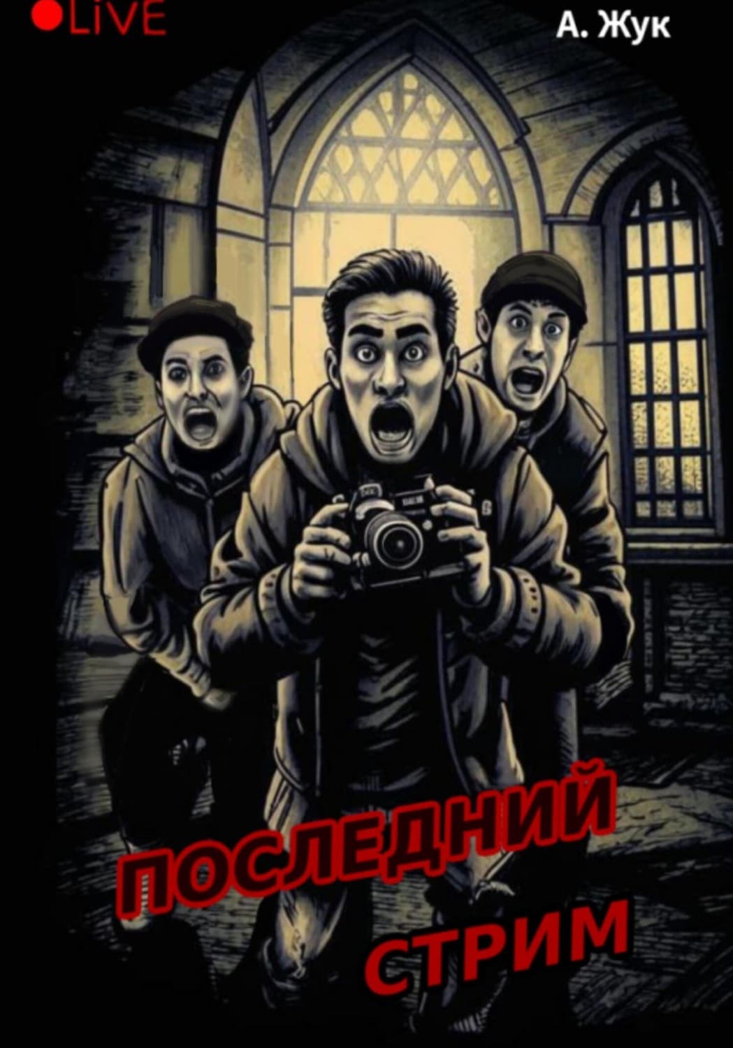Обложка книги «Последний стрим» — А. А. Жук