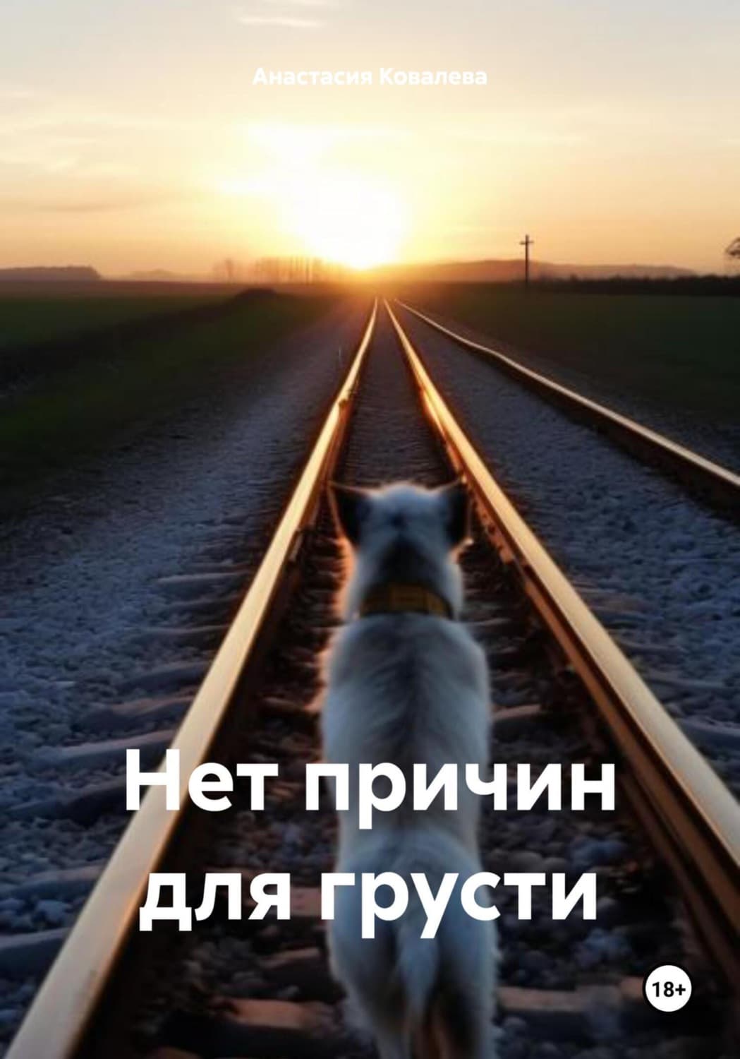 Обложка книги «Нет причин для грусти» — Александра Ковалева