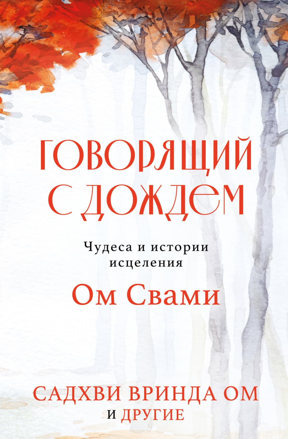Обложка книги «Говорящий с дождем. Чудеса и истории исцеления Ом Свами» — Садхви Вринда Ом