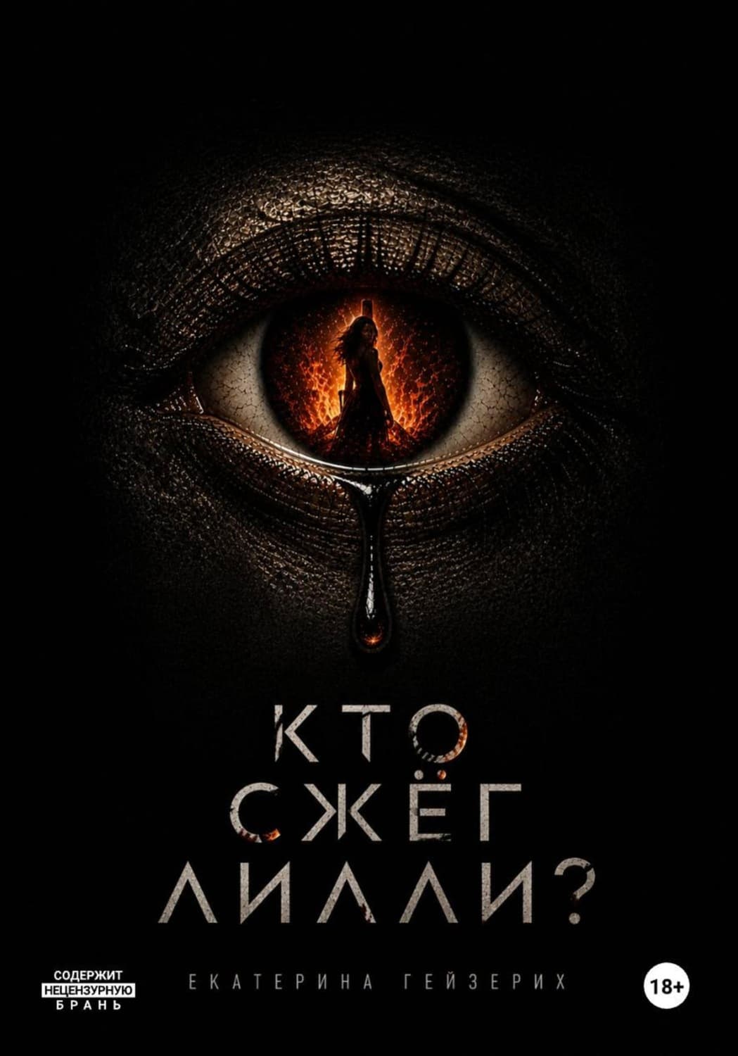 Обложка книги «Кто сжёг Лилли?» — Екатерина Гейзерих