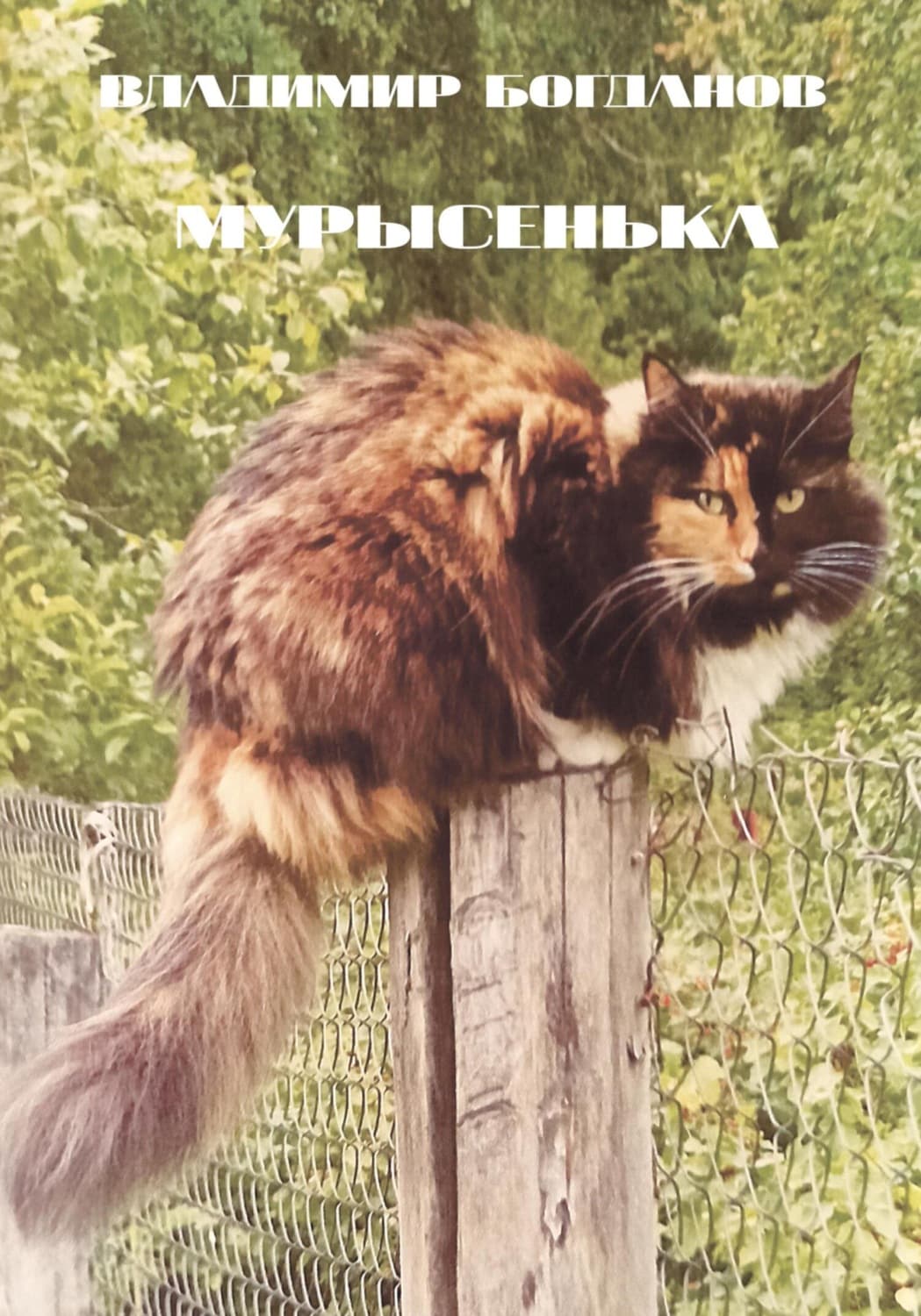 Обложка книги «Мурысенька» — Виктор Богданов