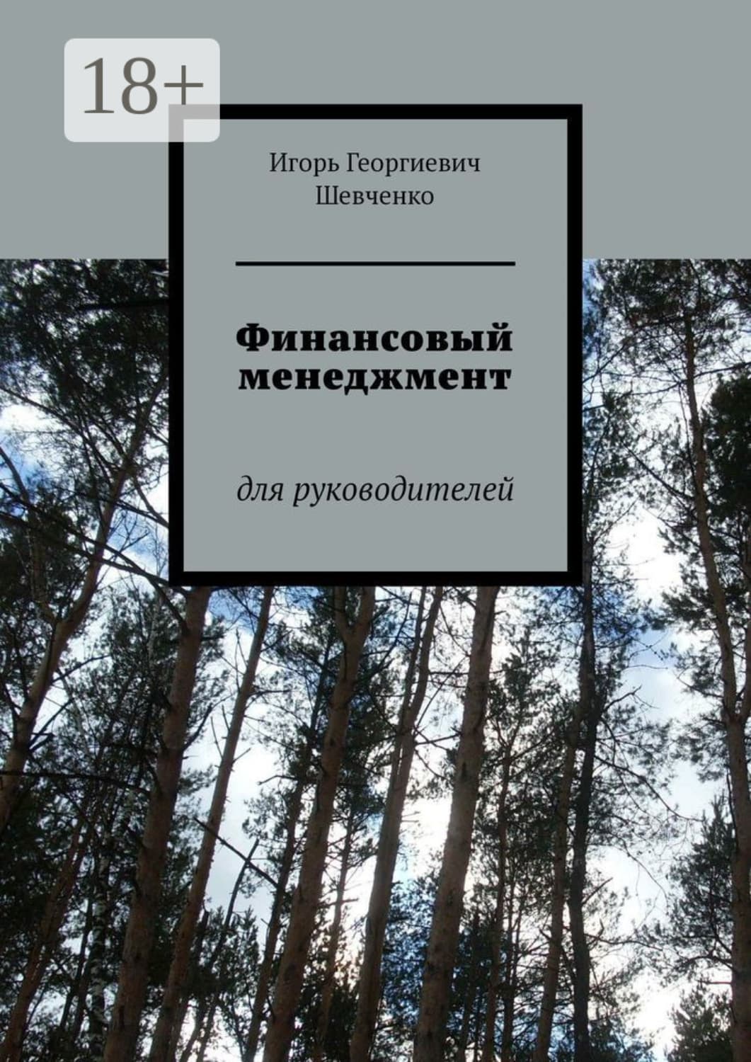 Обложка книги «Финансовый менеджмент. Для руководителей» — Ирина Шевченко