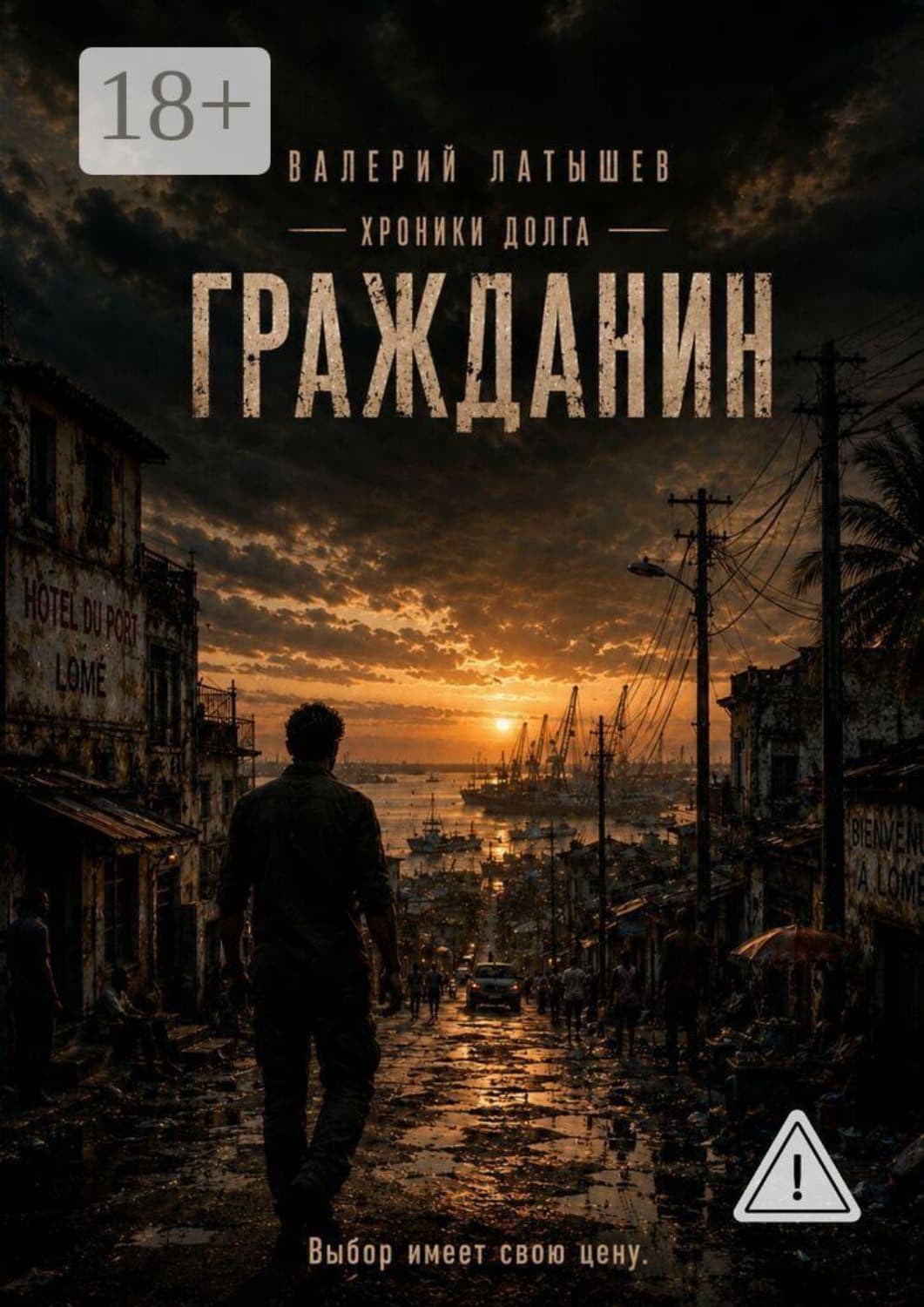 Обложка книги «Гражданин» — Владимир Латышев