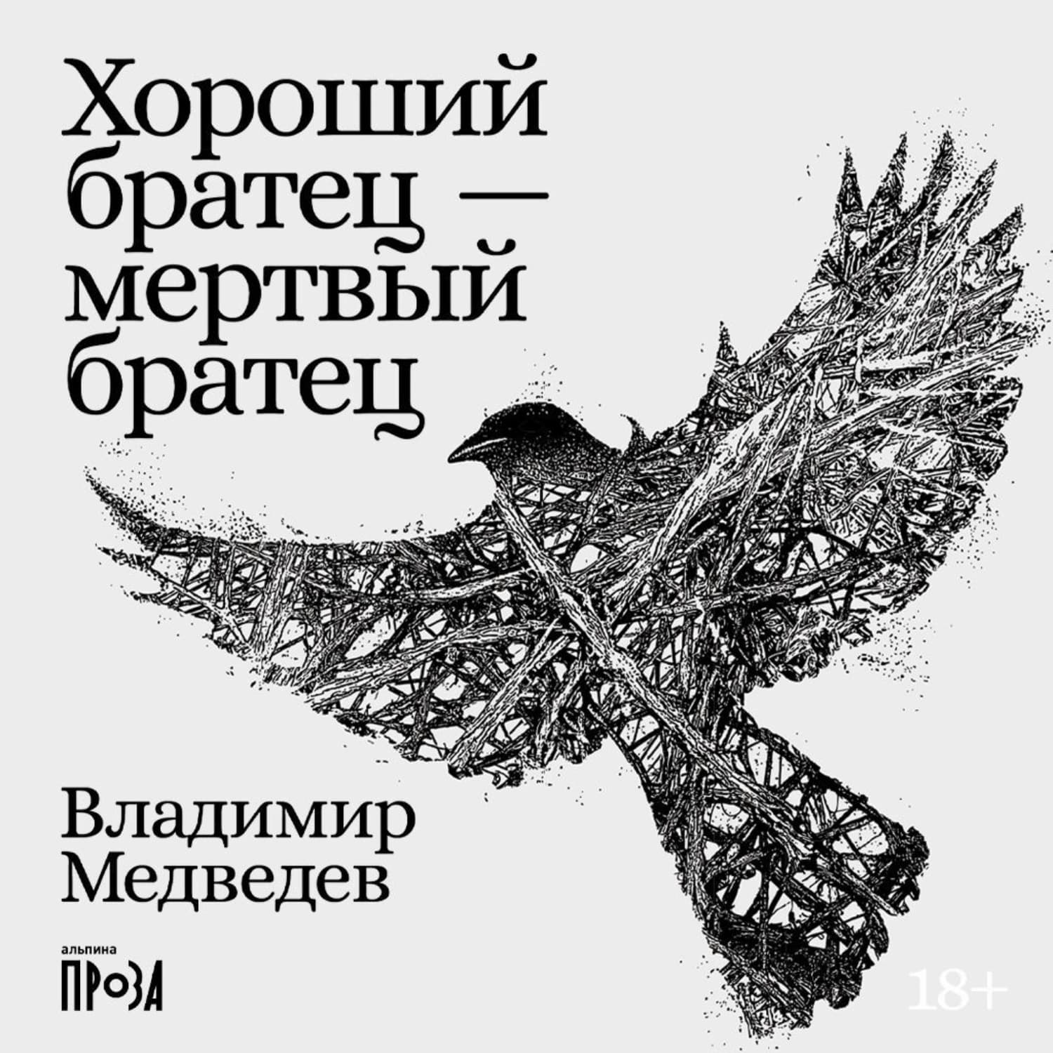 Обложка книги «Хороший братец – мертвый братец» — В. В. Медведев