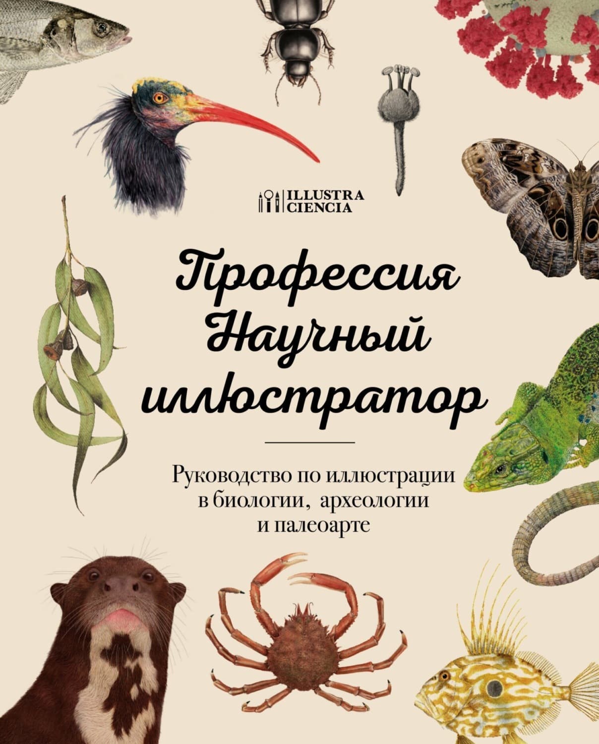 Обложка книги «Профессия – Научный иллюстратор. Руководство по иллюстрации в биологии, археологии и палеоарте» — Автор неизвестен