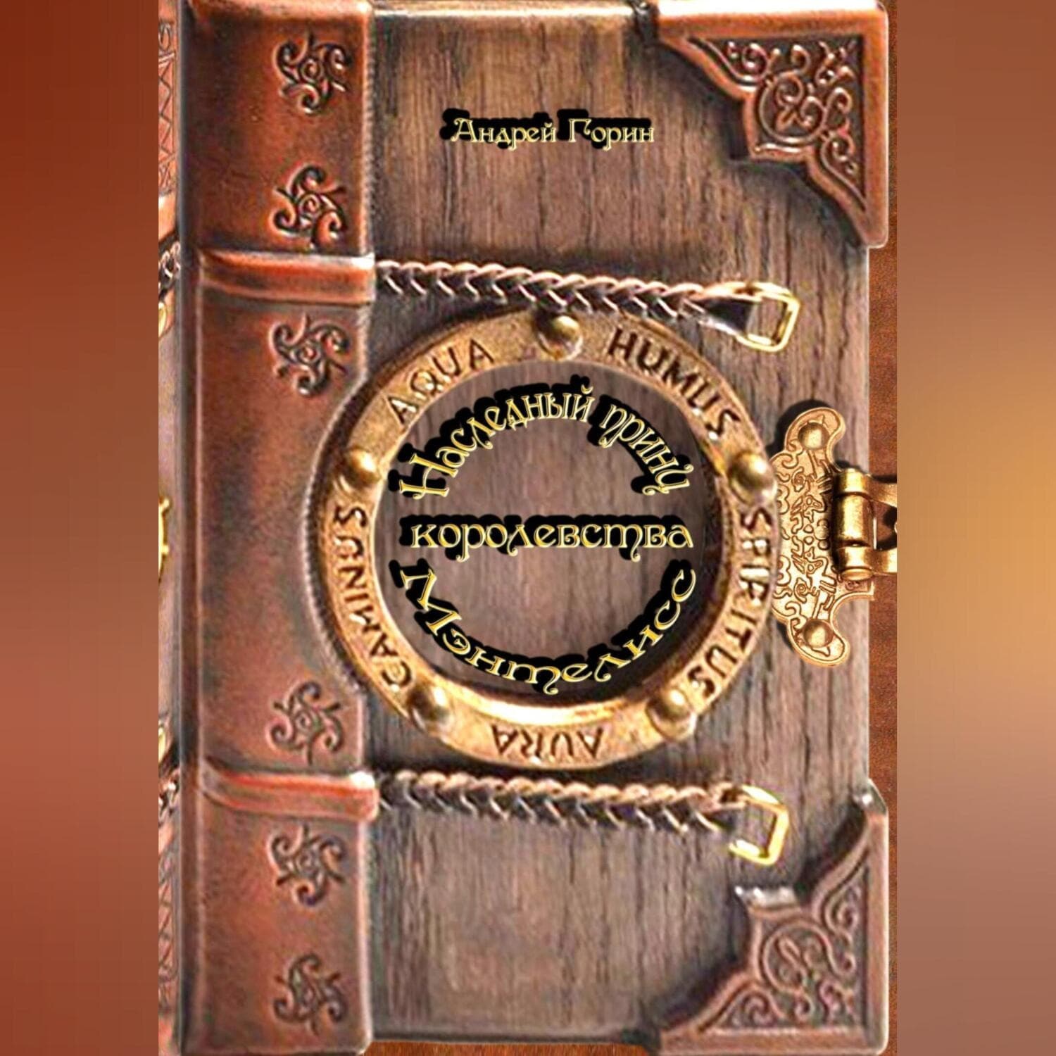 Обложка книги ««Наследный принц королевства Мэнтелисс» книга первая «Город камнетесов»» — Александр Горин