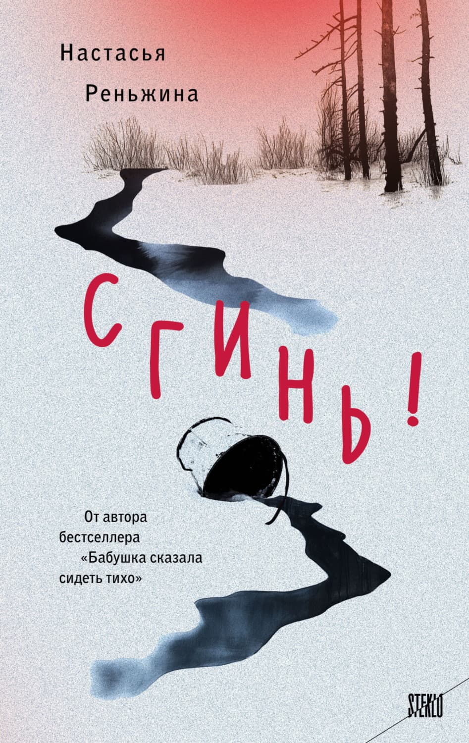 Обложка книги «Сгинь!» — Настасья Реньжина