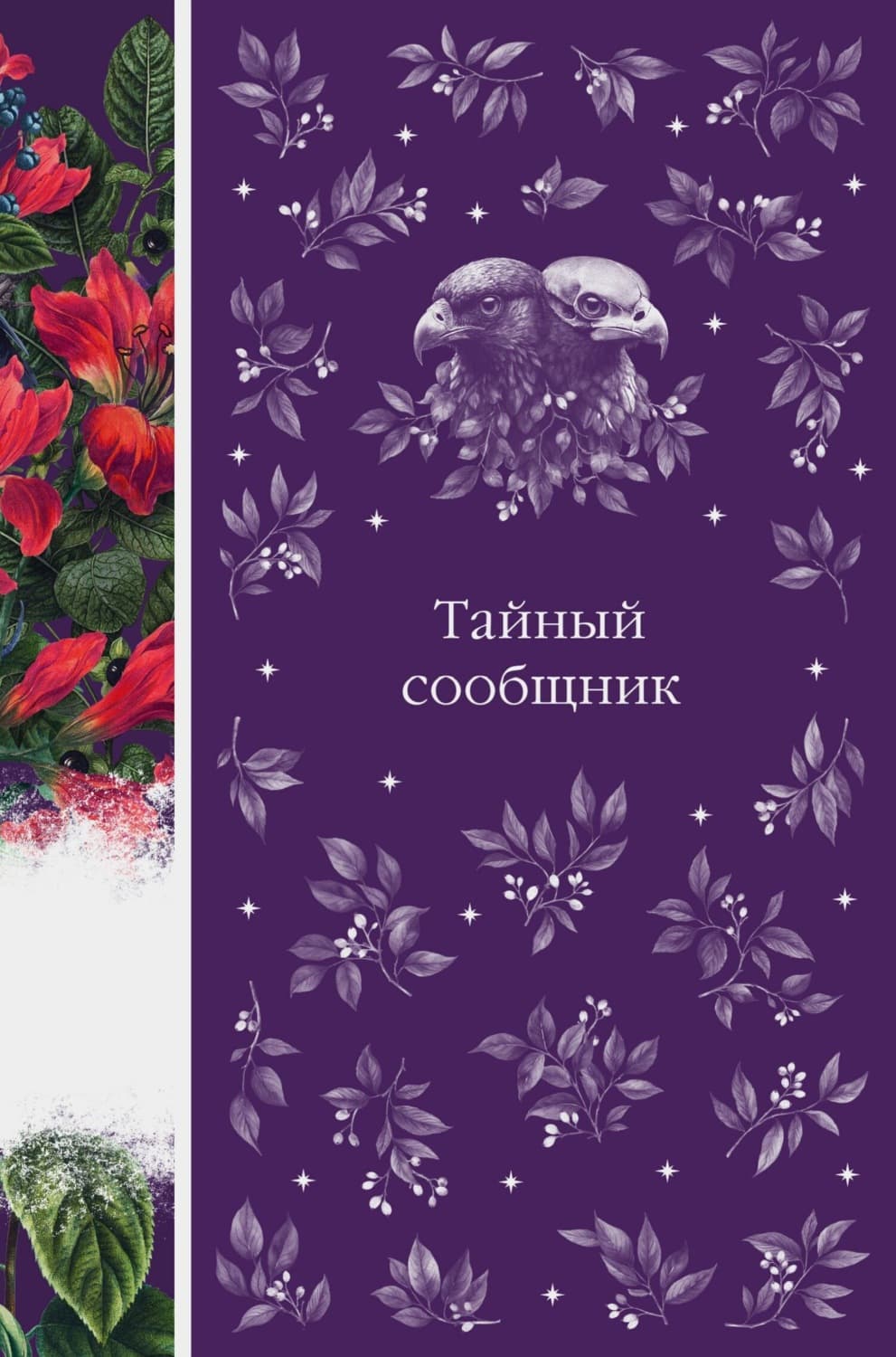 Обложка книги «Тайный сообщник» — Брэм Стокер